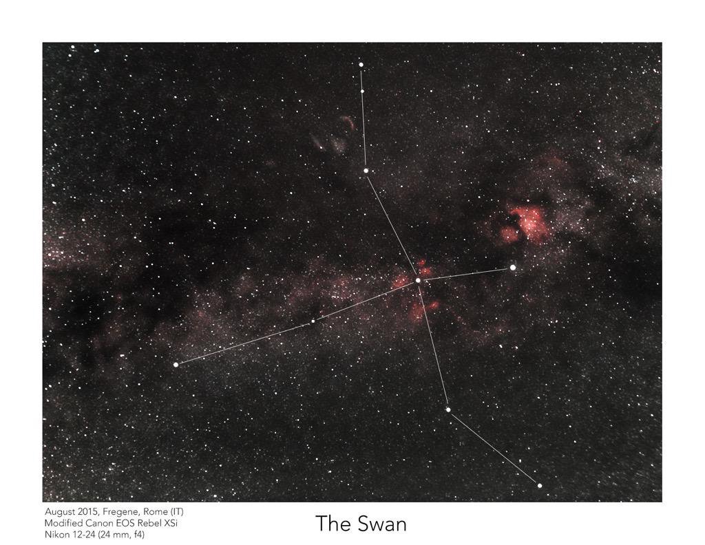 The swan constellation
