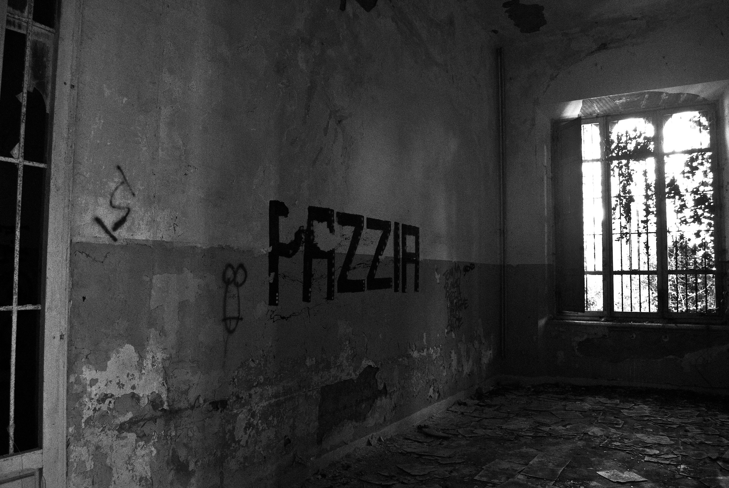 Dentro le Mura della Pazzia_padiglione Ferri