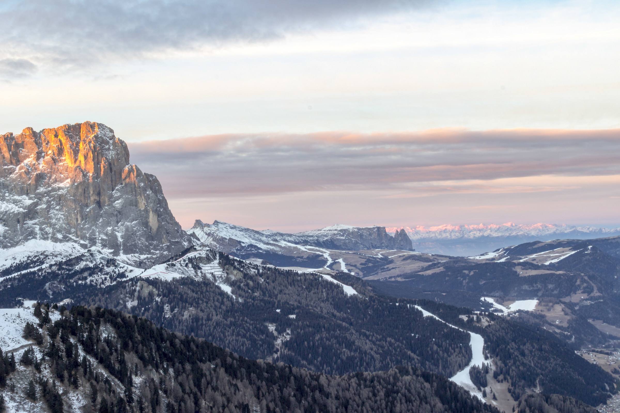 Selva has bird catches the worm