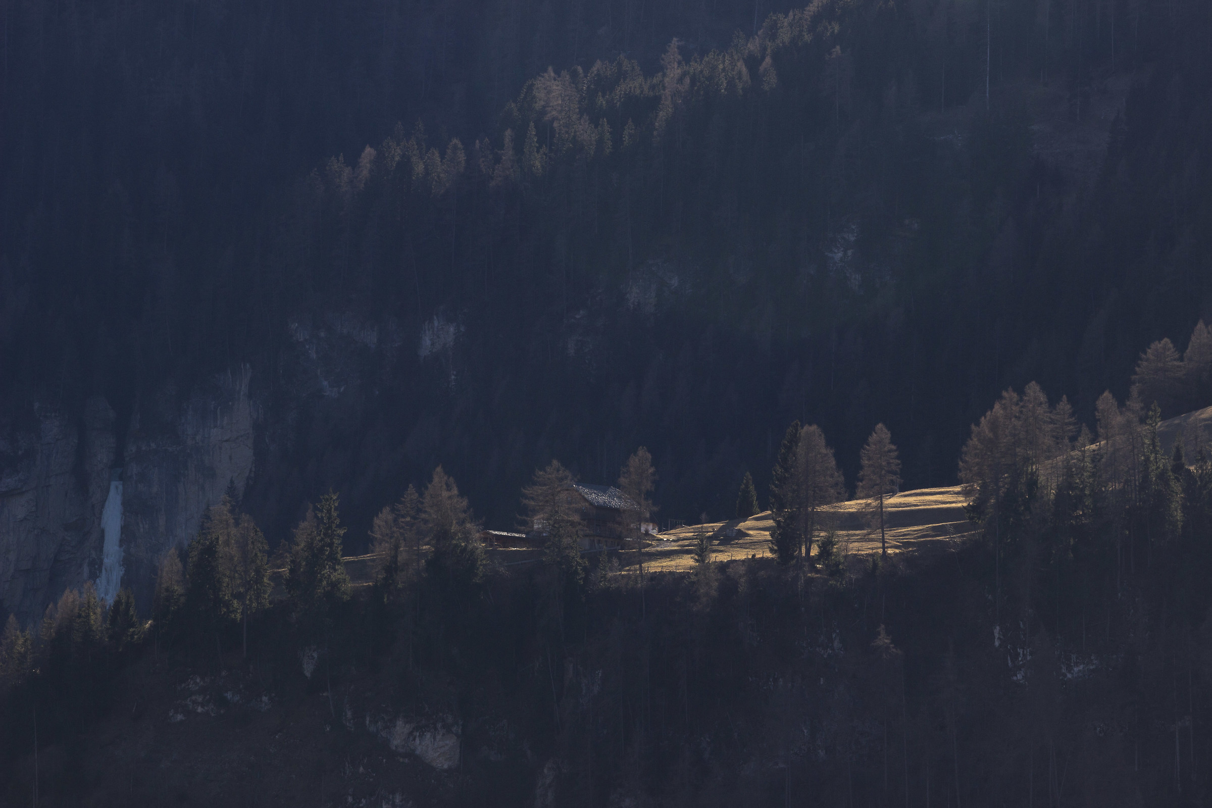 Sunbeams on the farm