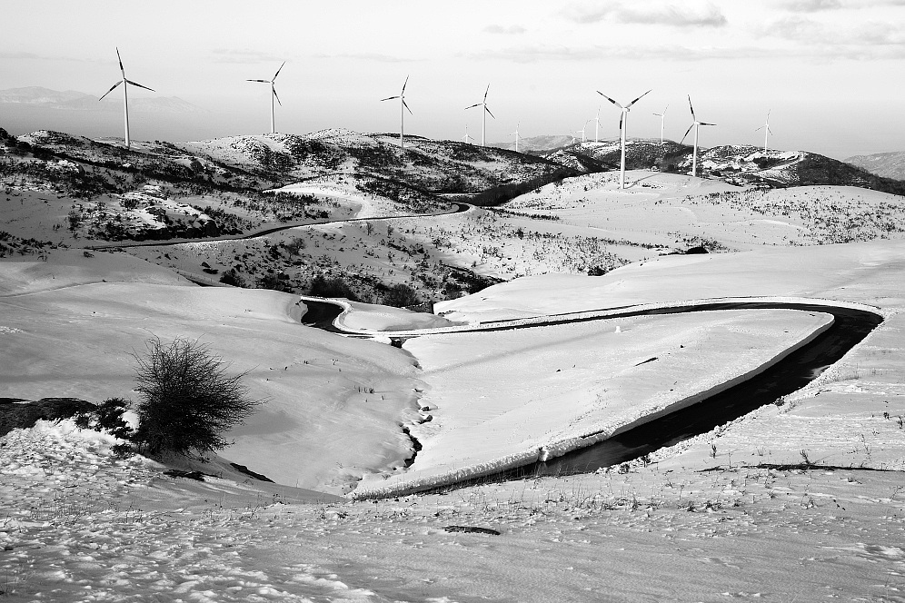 floresta - wind turbines and landscape