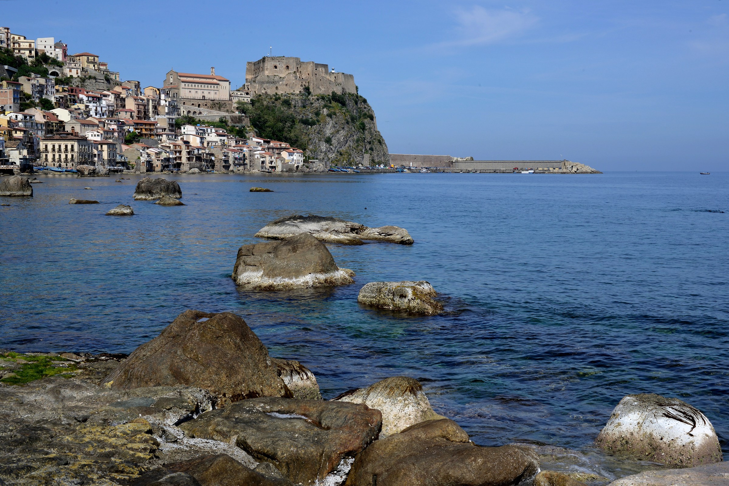 Scilla