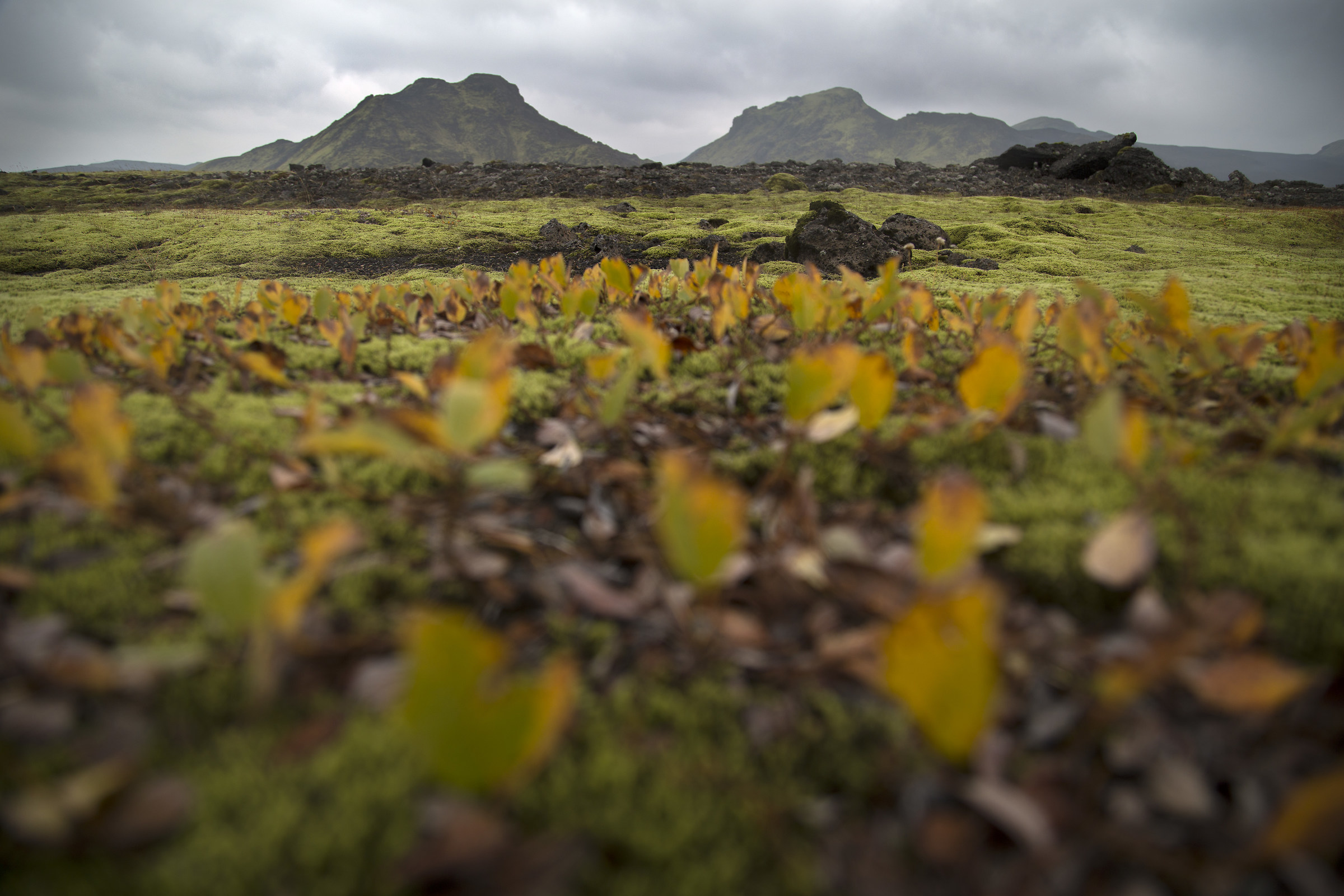 La terra del ghiaccio e del fuoco 1