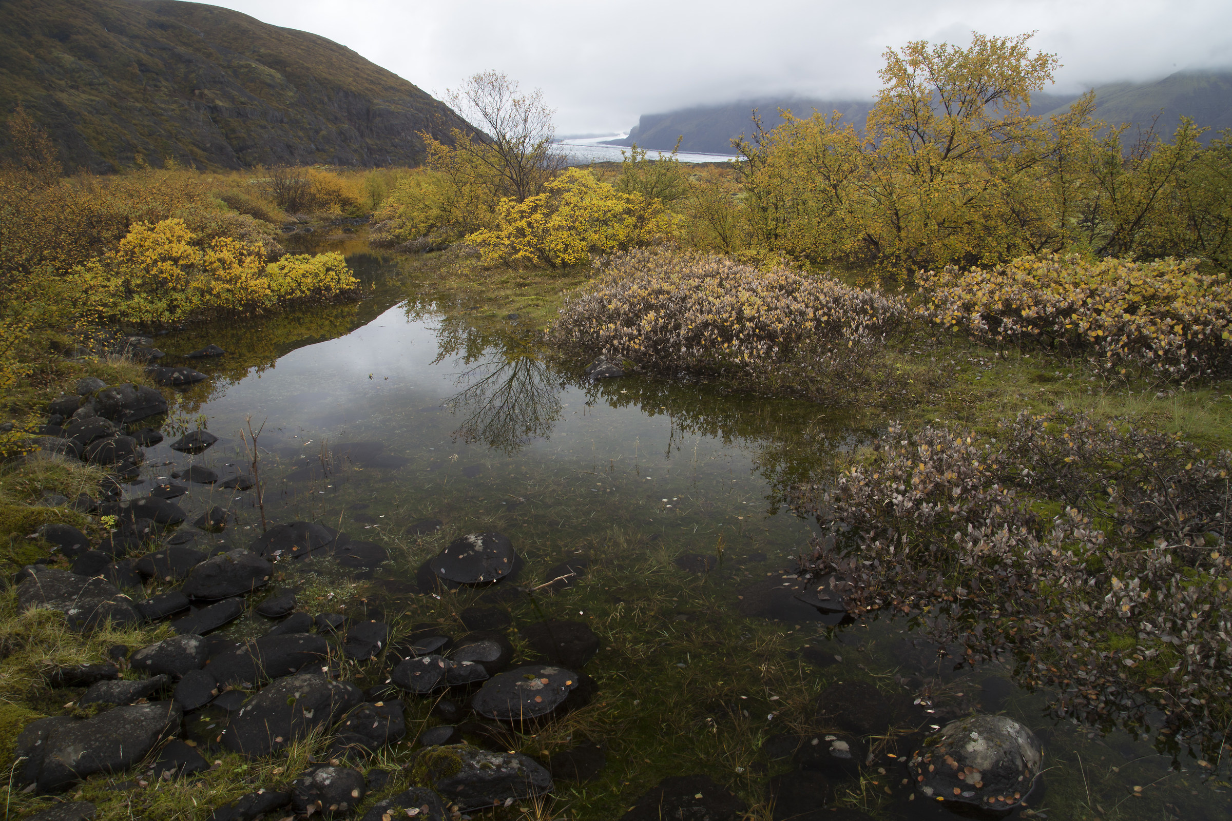 La terra del ghiaccio e del fuoco 5