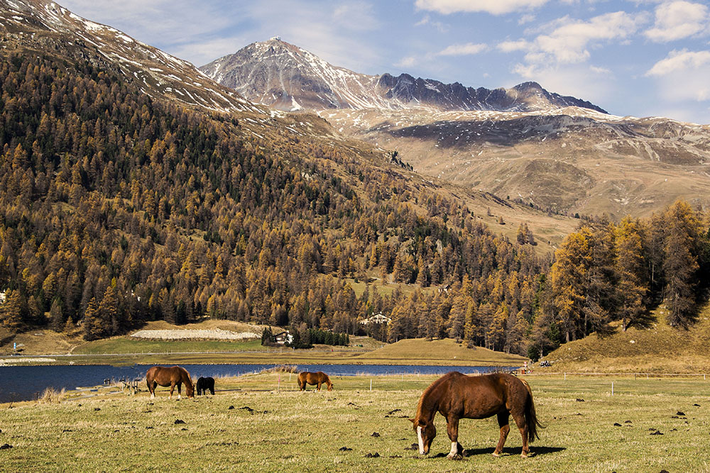 Autumn in the Engadine