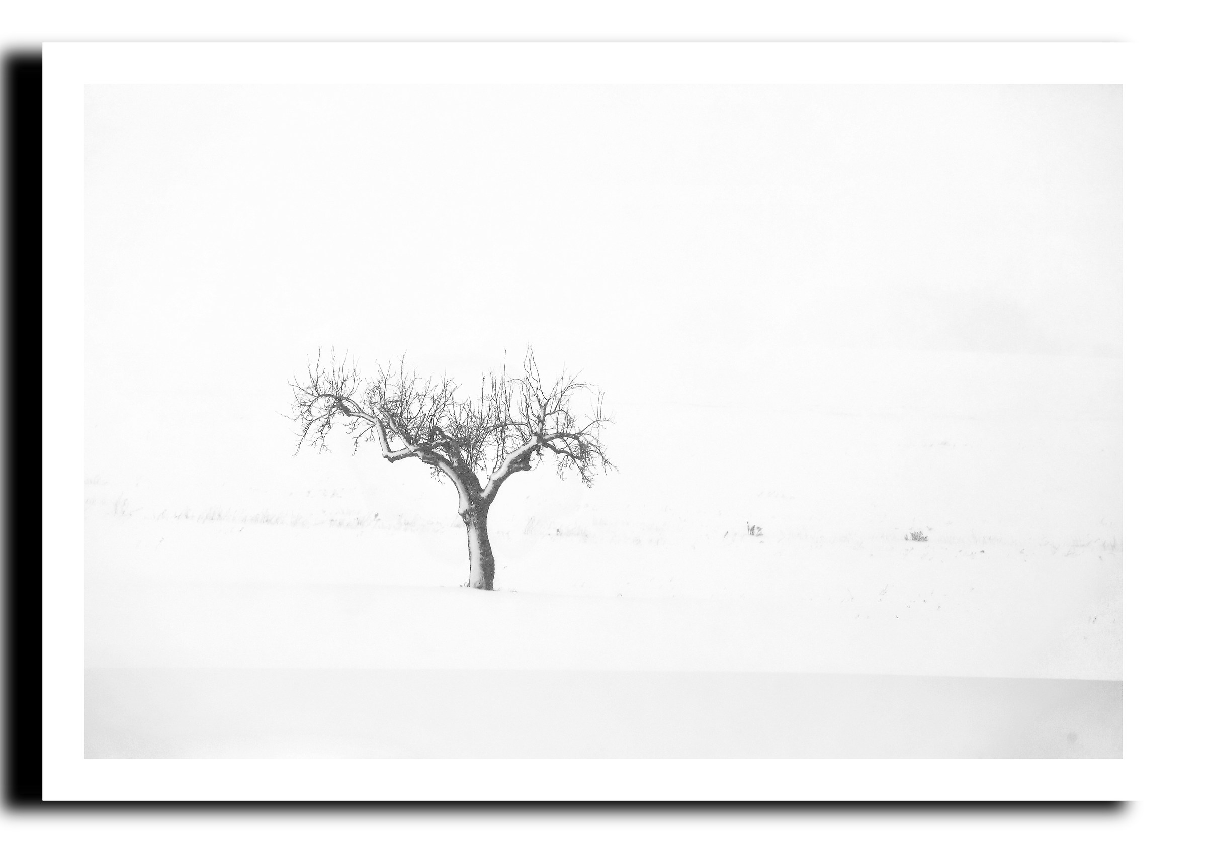 La solitudine dell'inverno