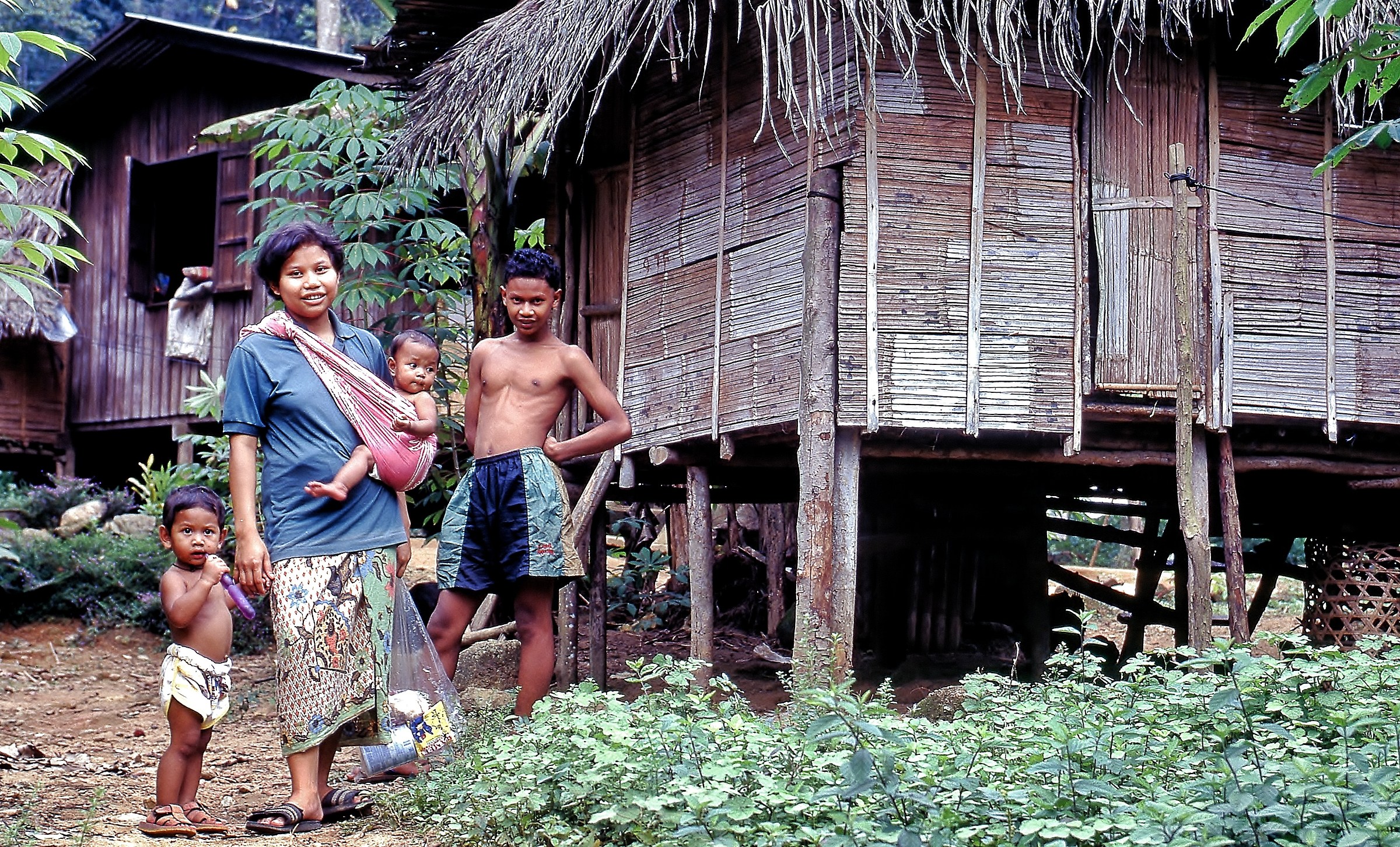 Orang asli