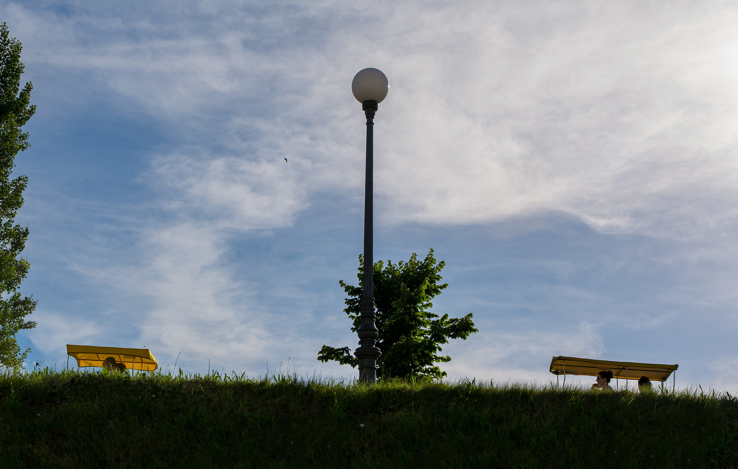 High Speed ??Pursuit