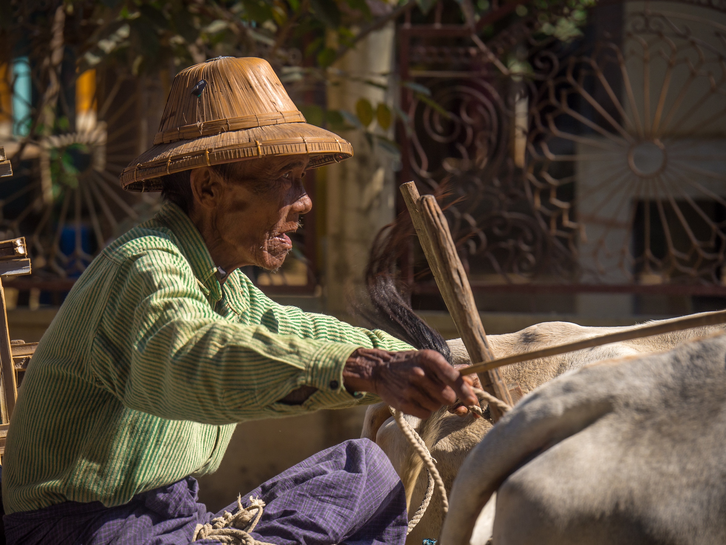 Taxis in Burmese villages