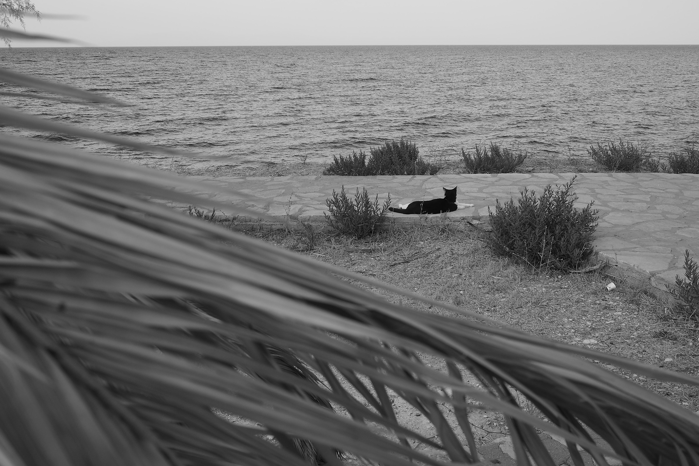 l immensità del mare