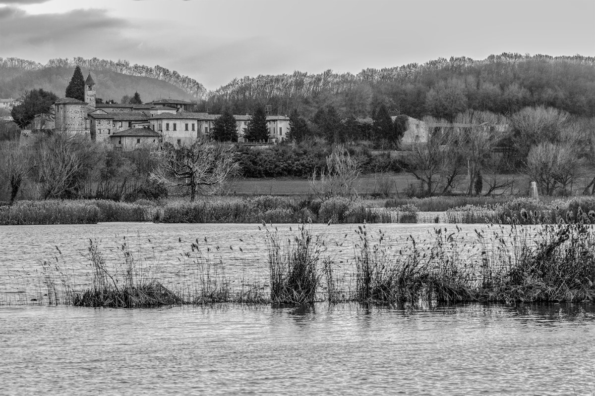 Una mattina di fine anno scorso