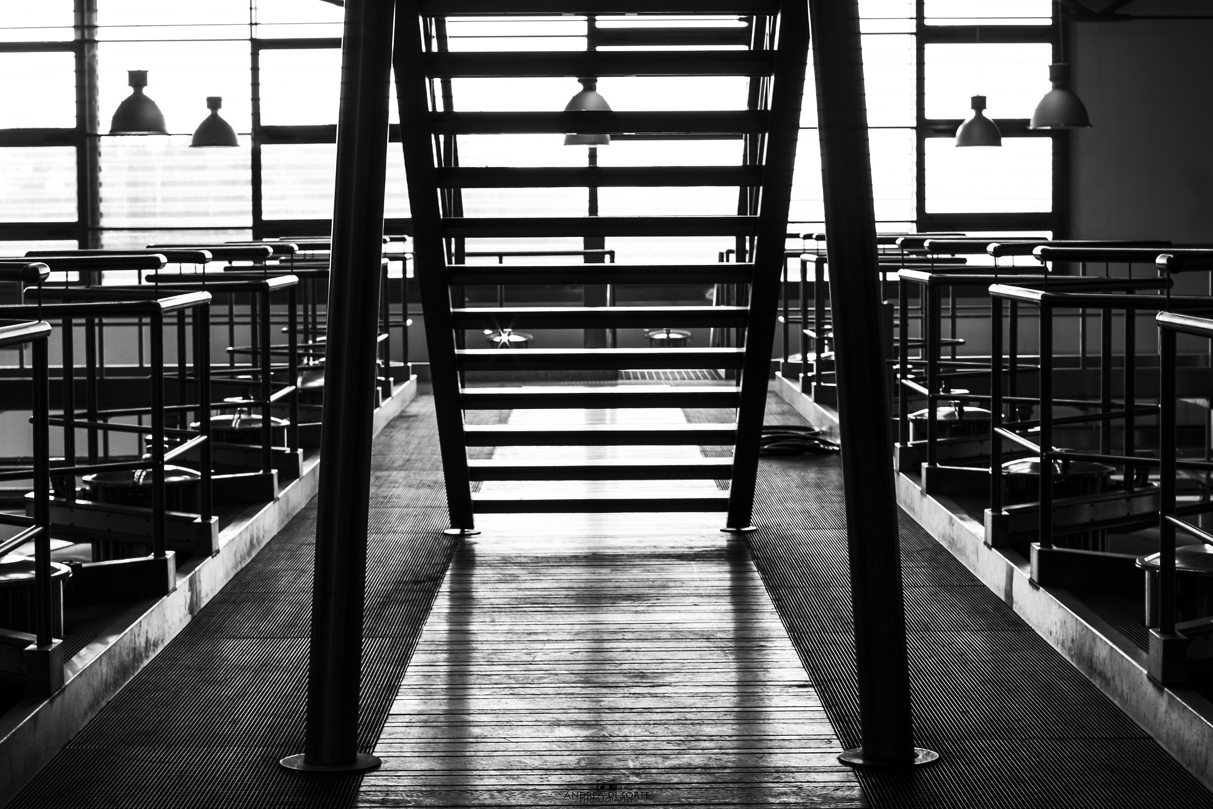 Castello della Sala Antinori