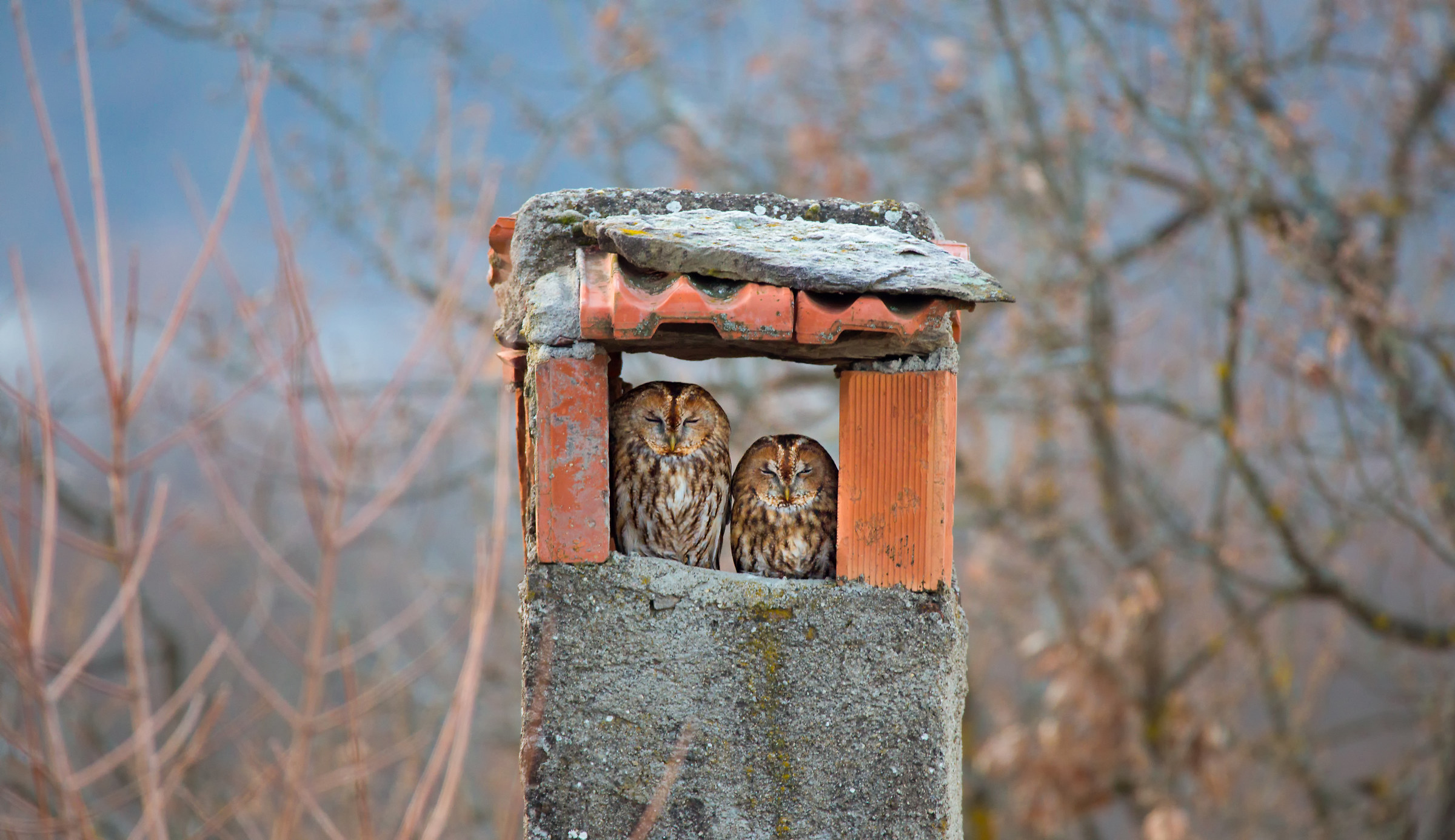 Due cuori e un caminetto!