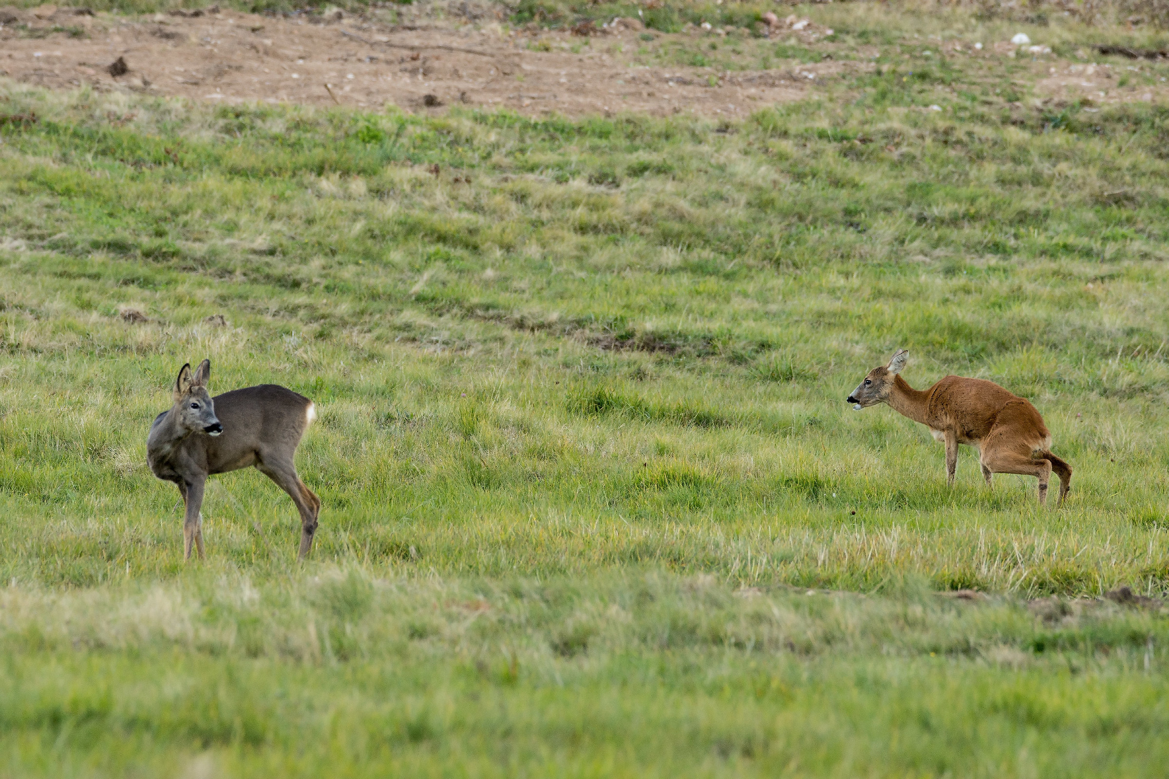 Per favore ... girati!