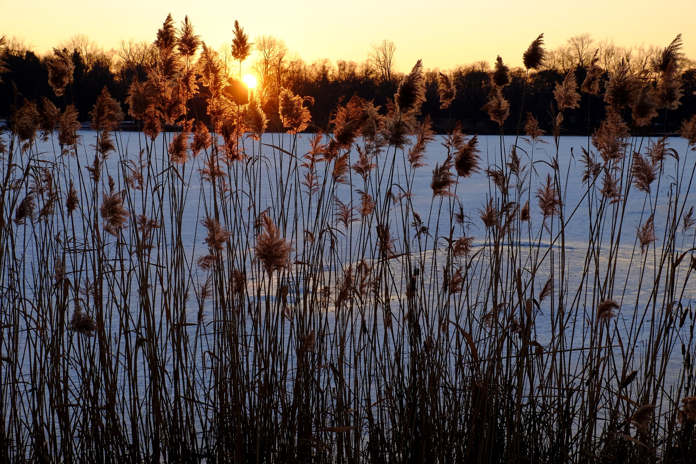 January says goodbye