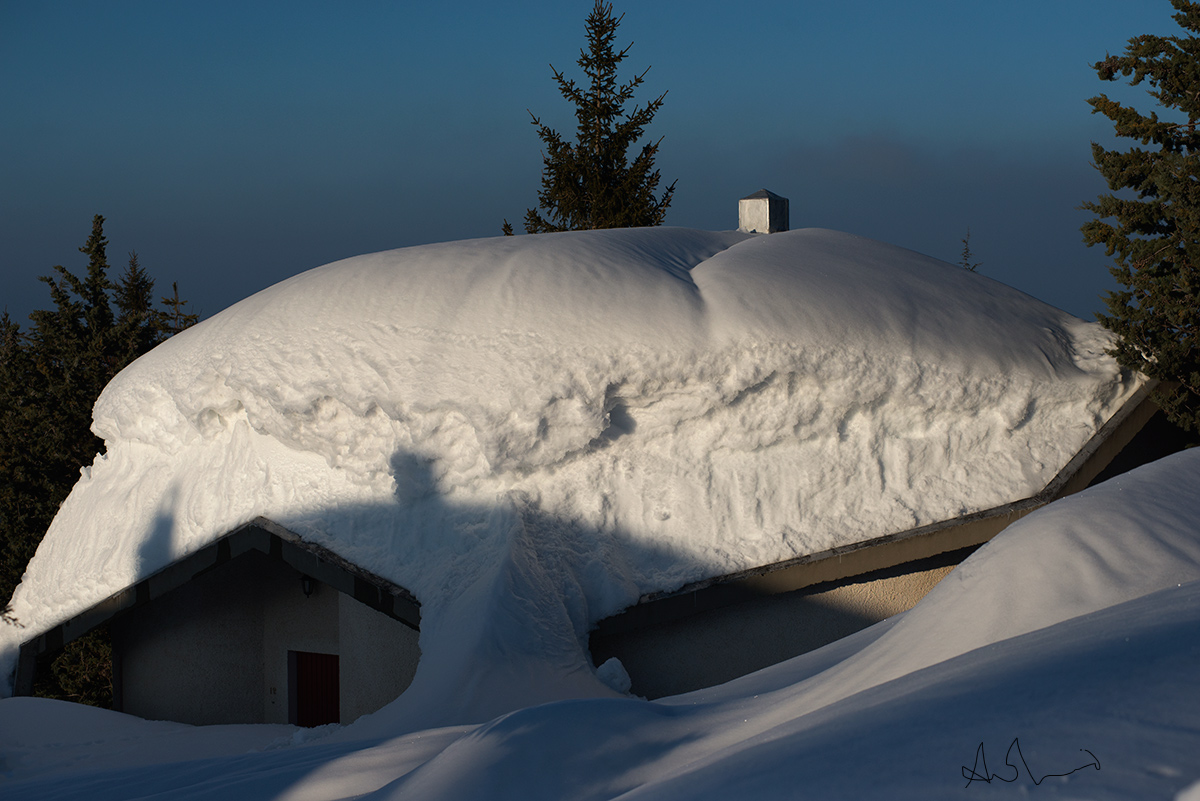 The three ..neve houses, shadow and reality '.