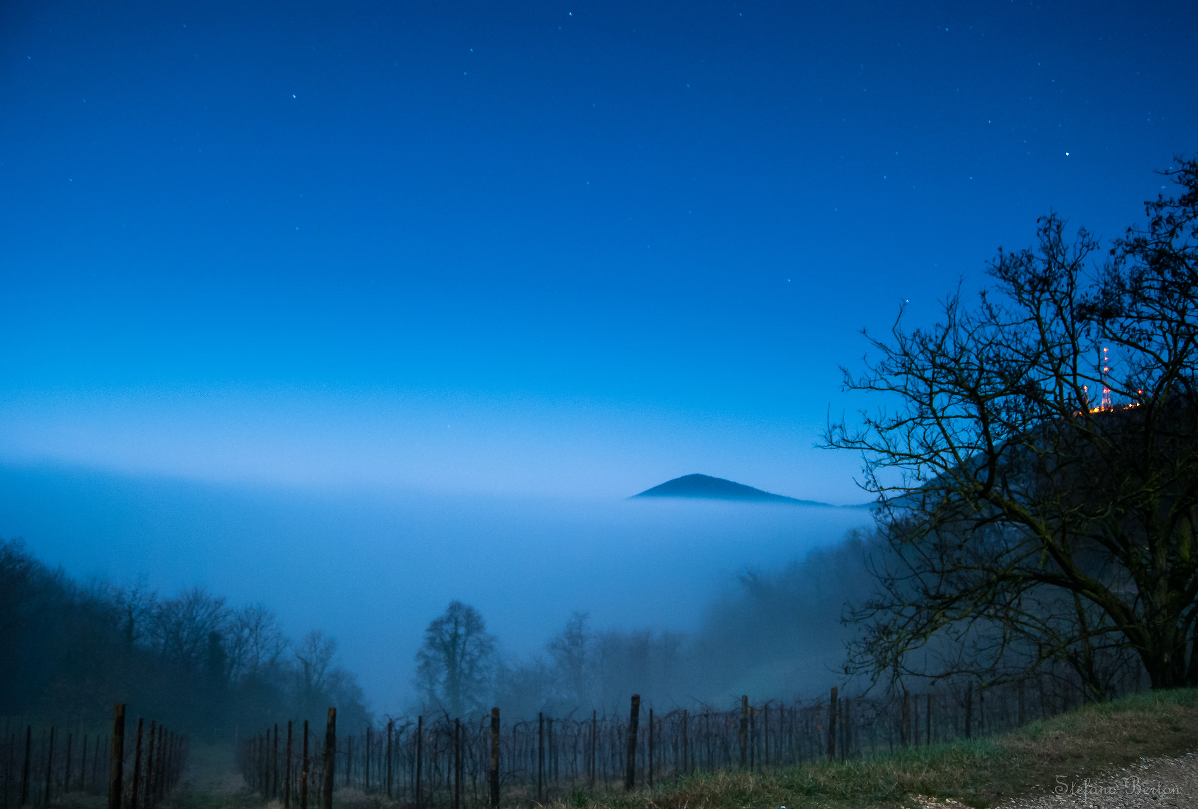 I have to go. The fog is rising.