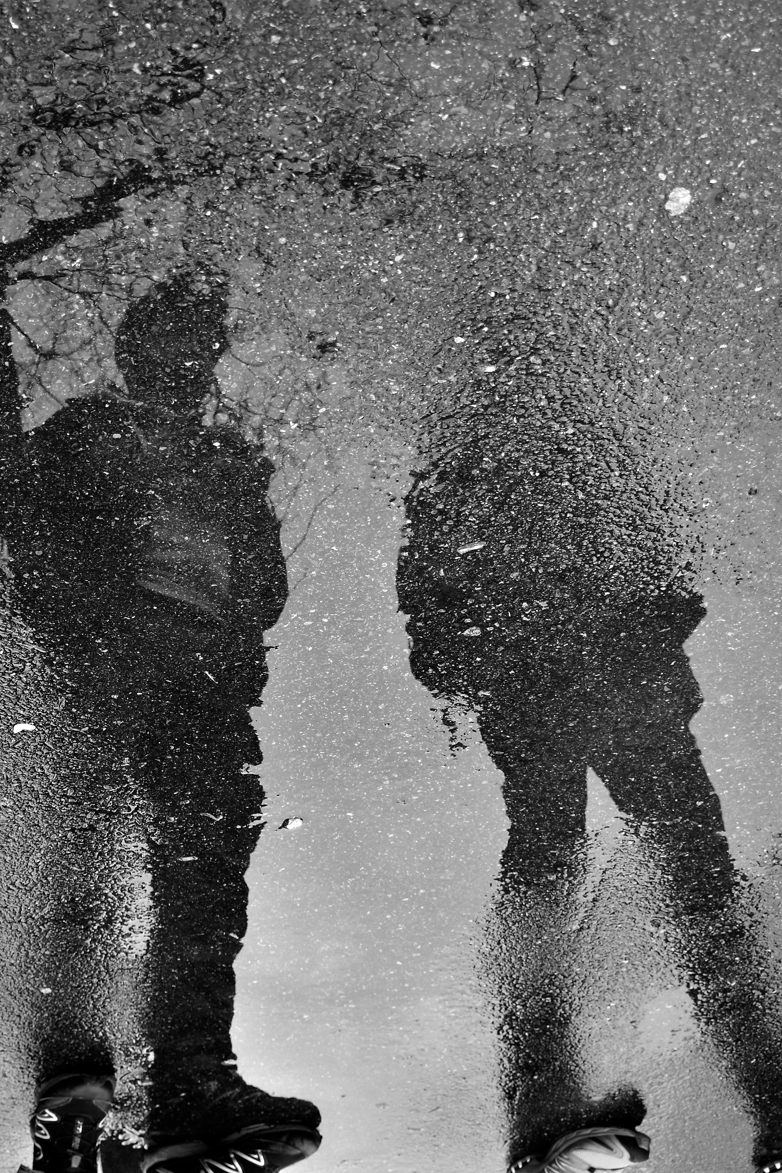 Riflessi nella pozza