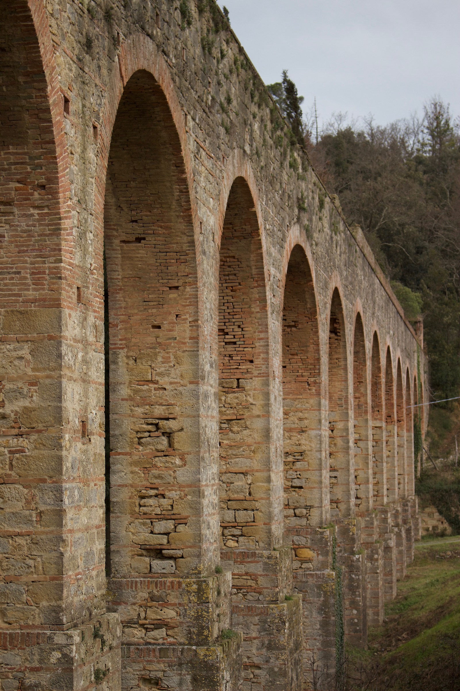 aqueduct Leopoldino