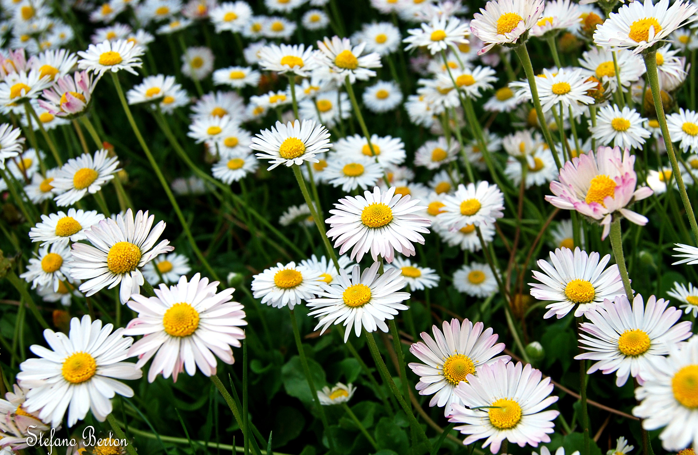 You can not pick a flower without troubling a star.