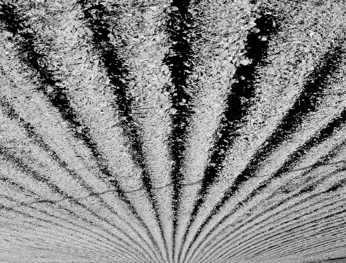 Convergenze parallele