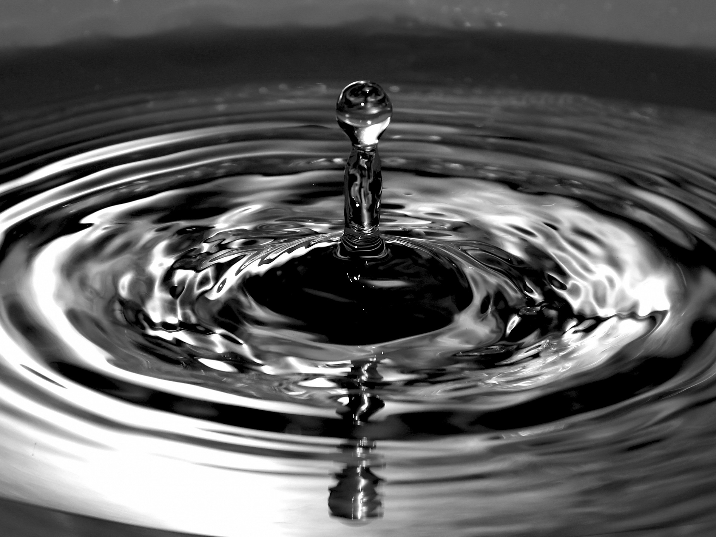 A drop between light and dark