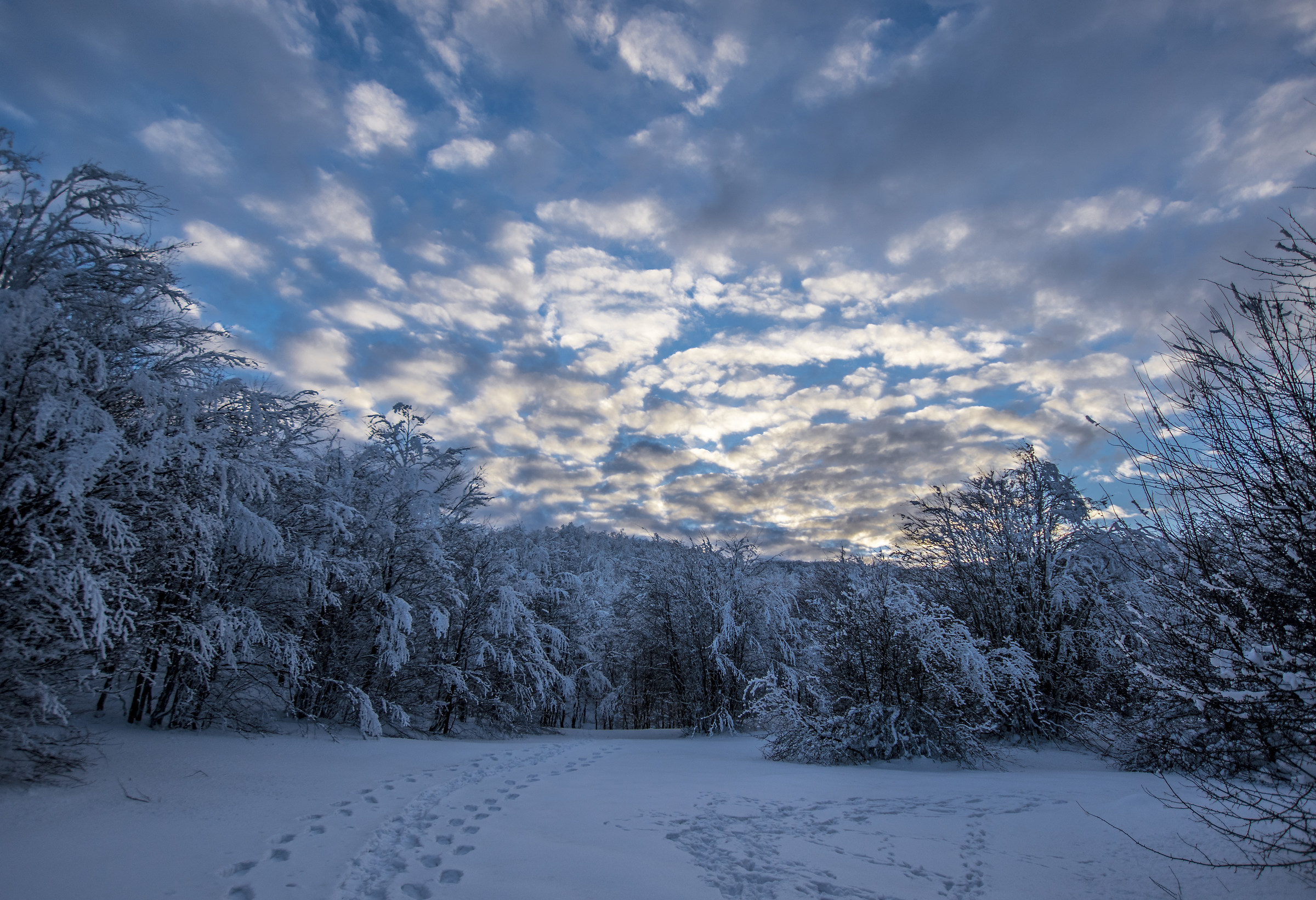 La neve ferma il tempo