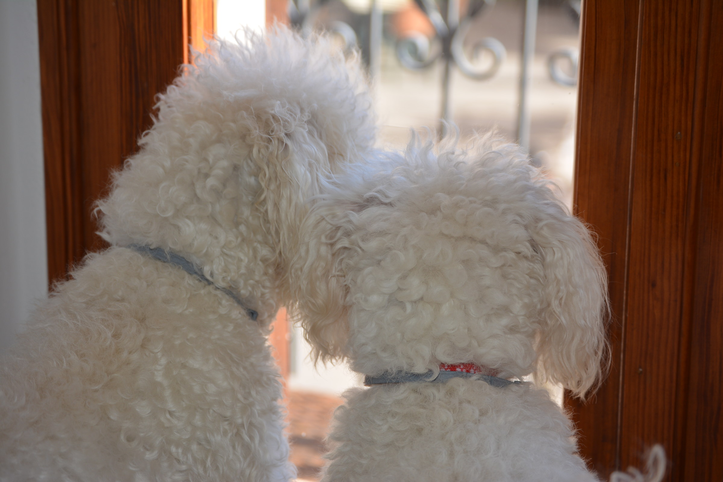 when are you coming back?