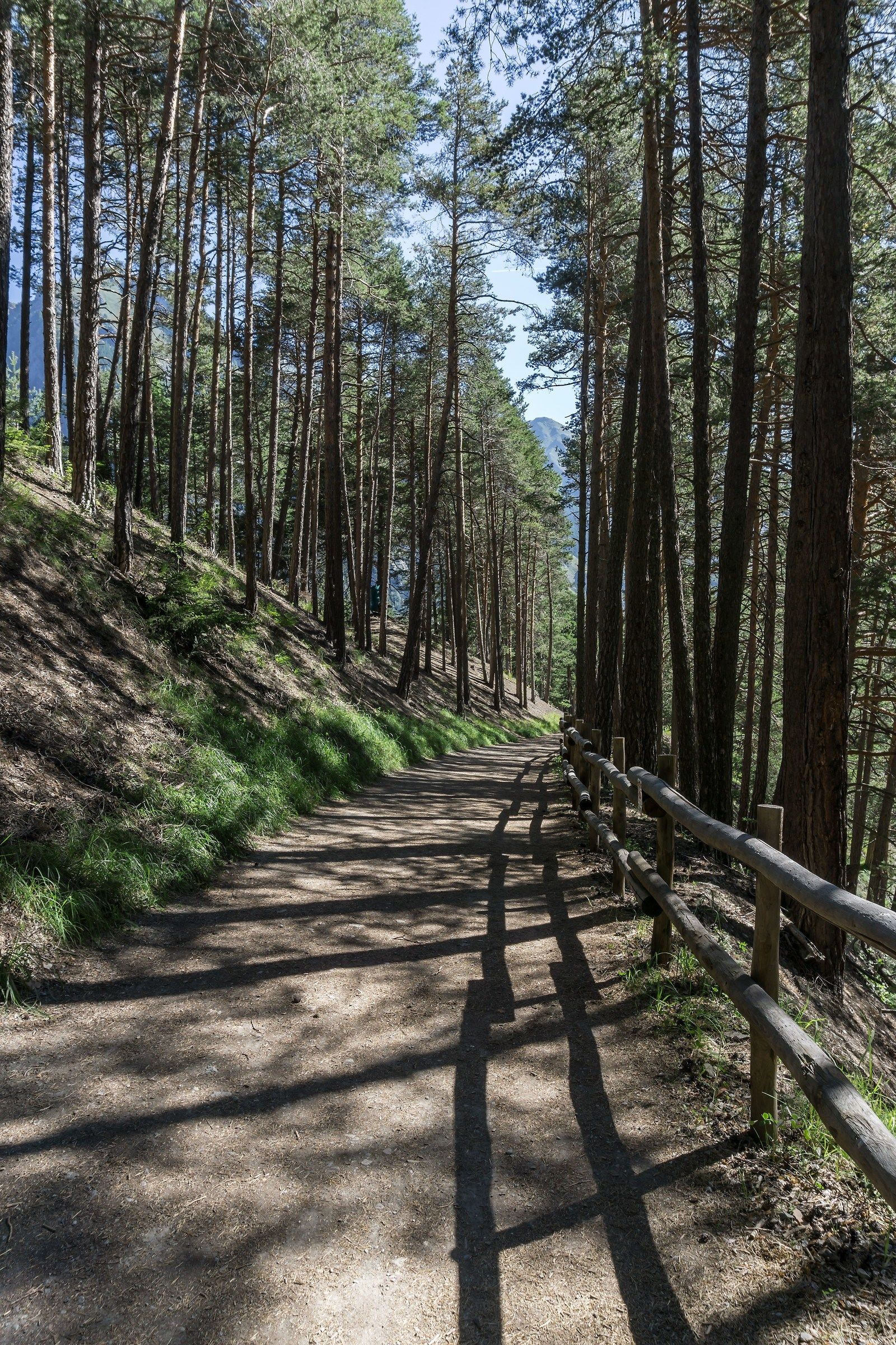 Path leading Orrido of Pre-Saint-Didier - 1
