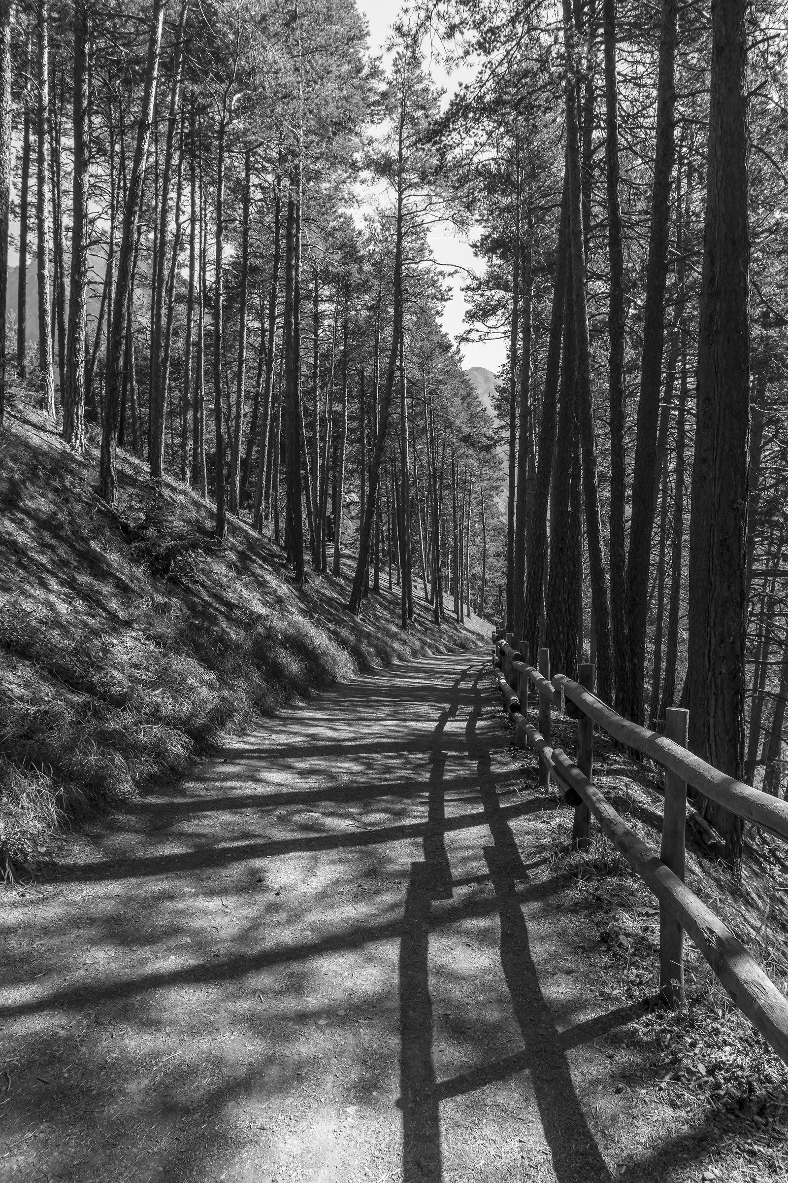 Path leading Orrido of Pre-Saint-Didier - 2