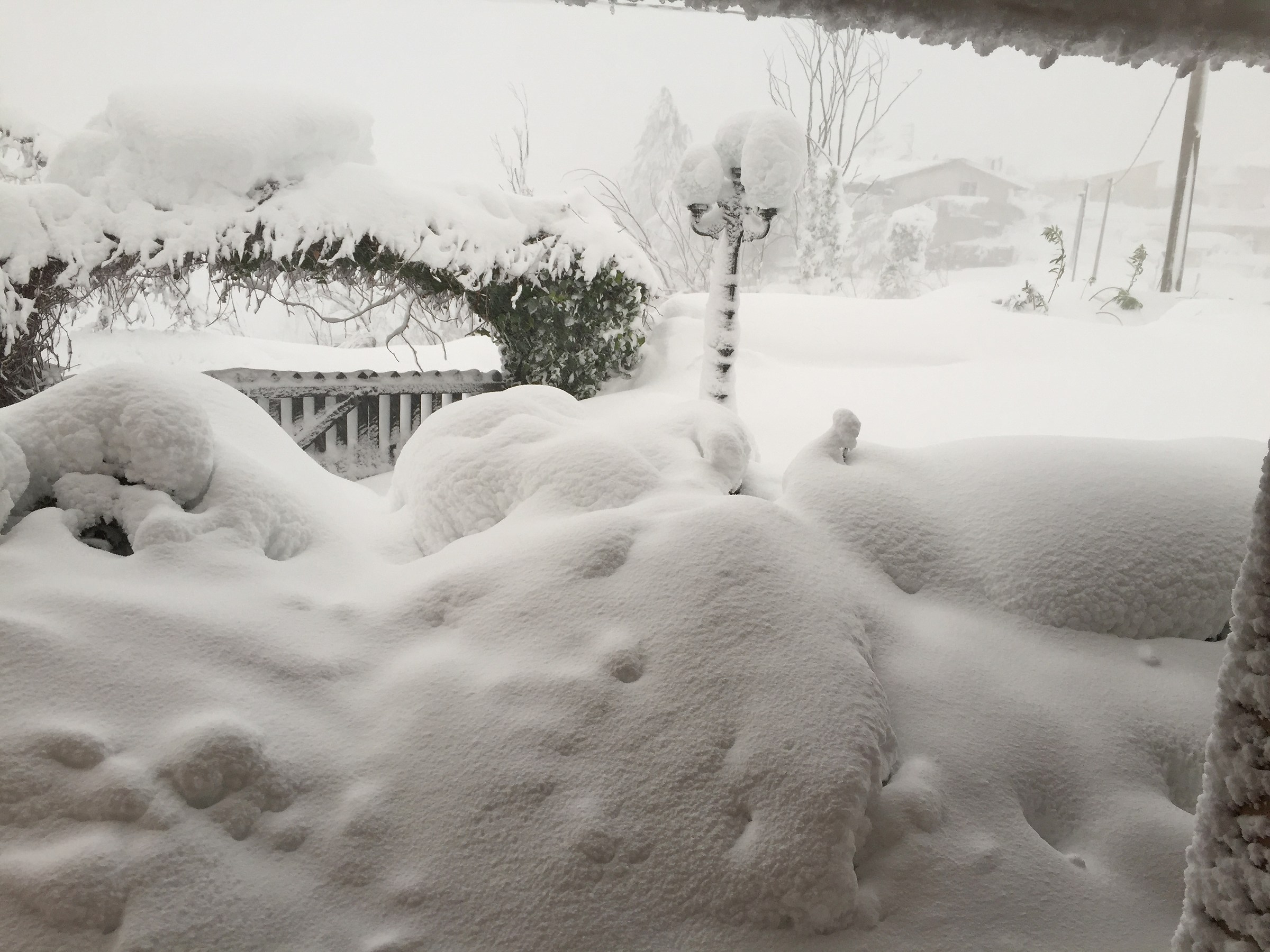 Help! I would like to get out of the house!