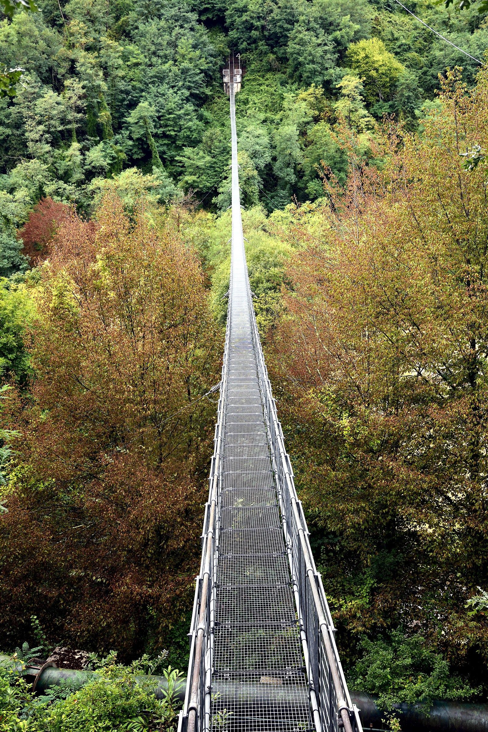 Suspended San Marcello Bridge