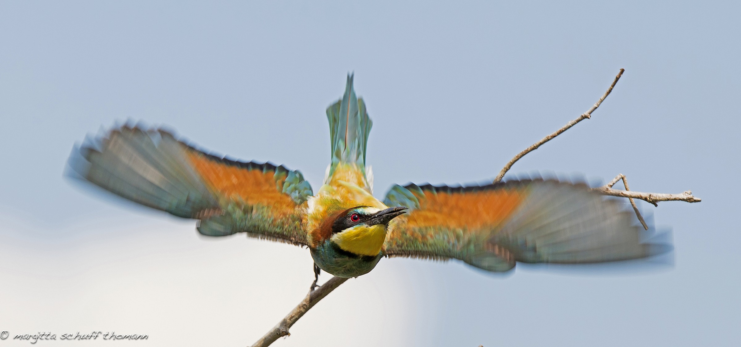 è arrivata l'ora della partenza..