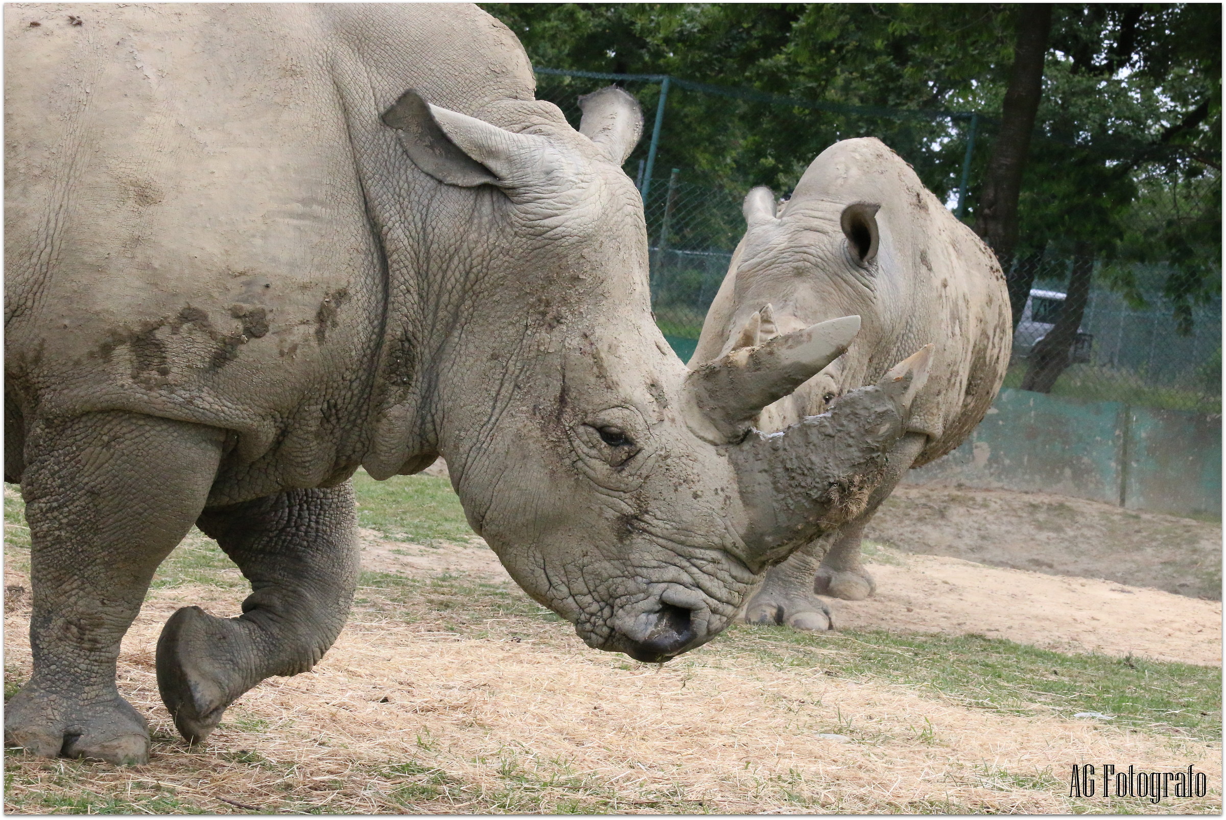 canon 70d tamron 70 200 2.8