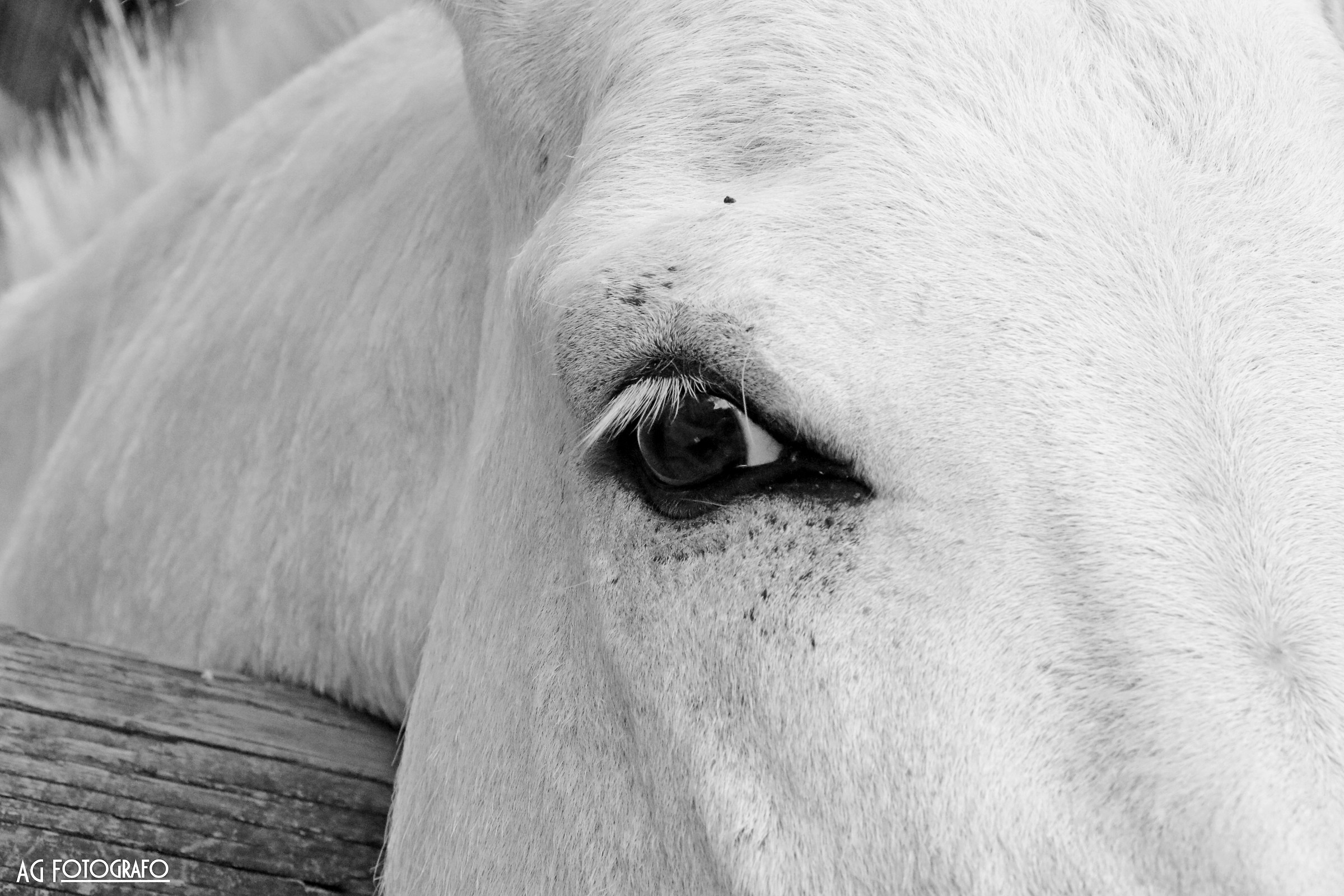 Canon 5D mark iii tamron 24 70