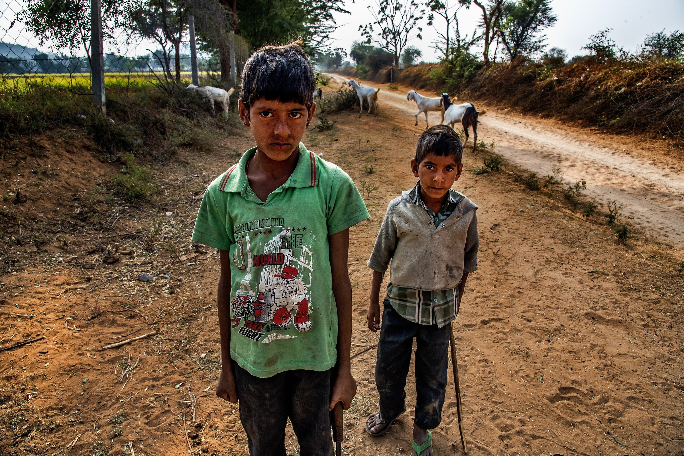 Rajasthan 2017 - Piccoli pastori