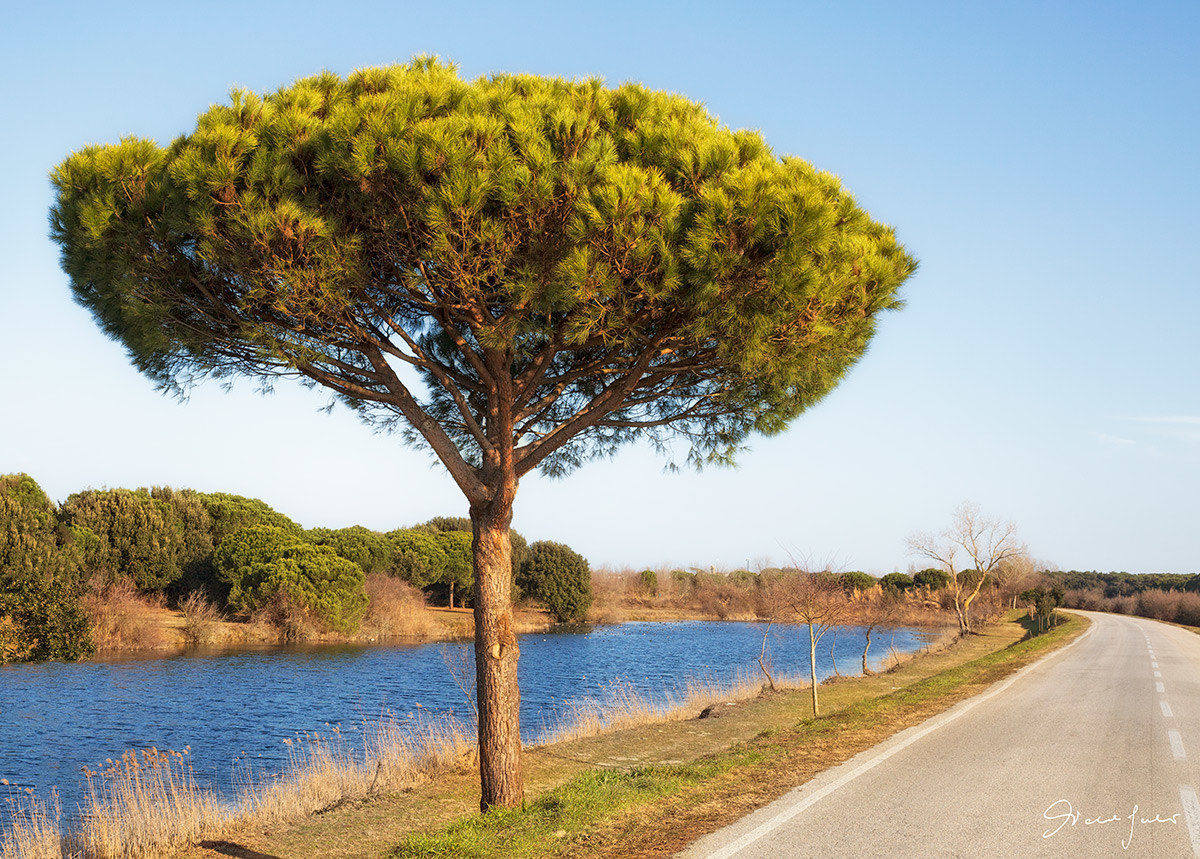 Valle Bertuzzi - Po Delta