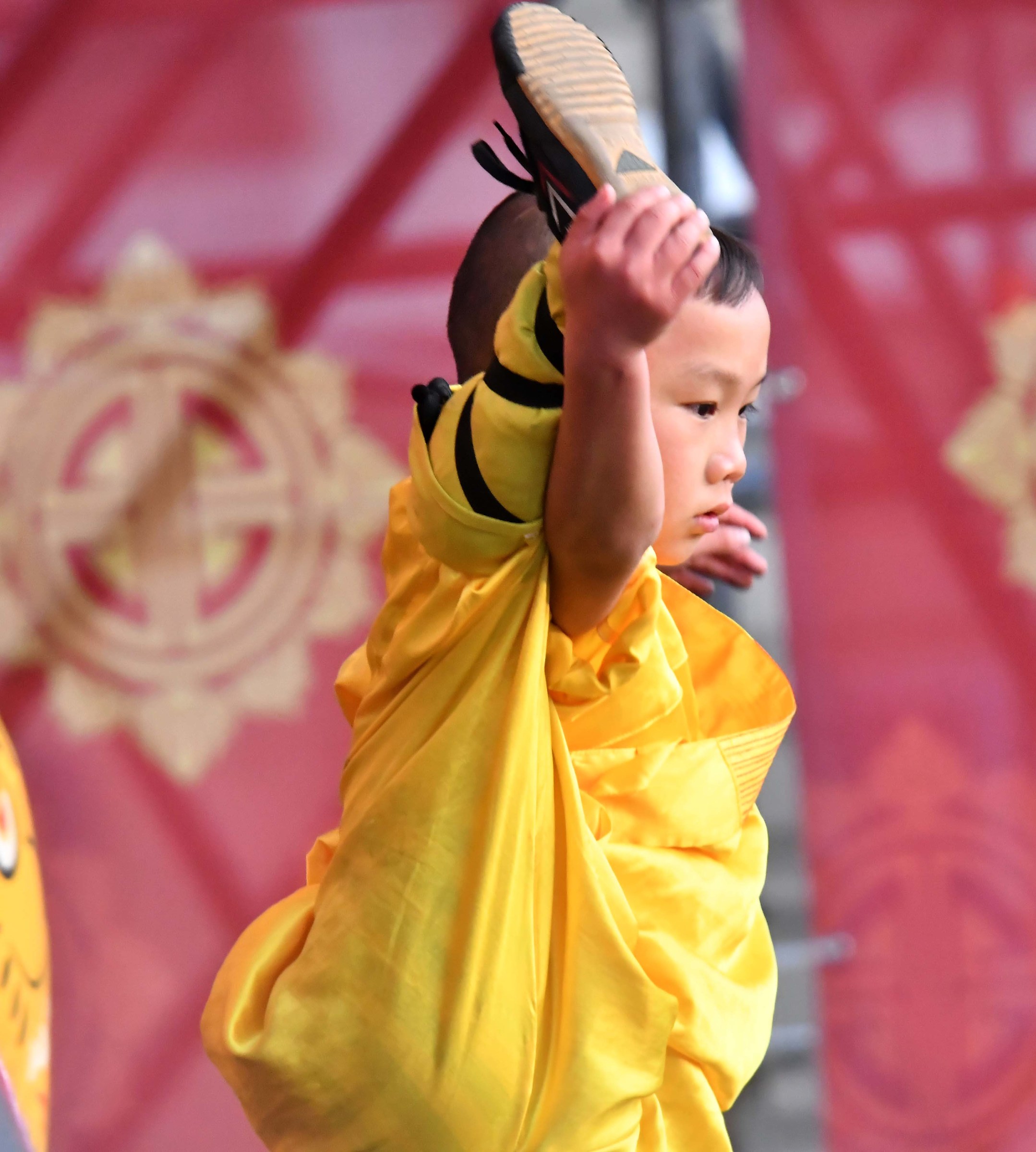 Capodanno cinese Roma 28 gennaio 2017