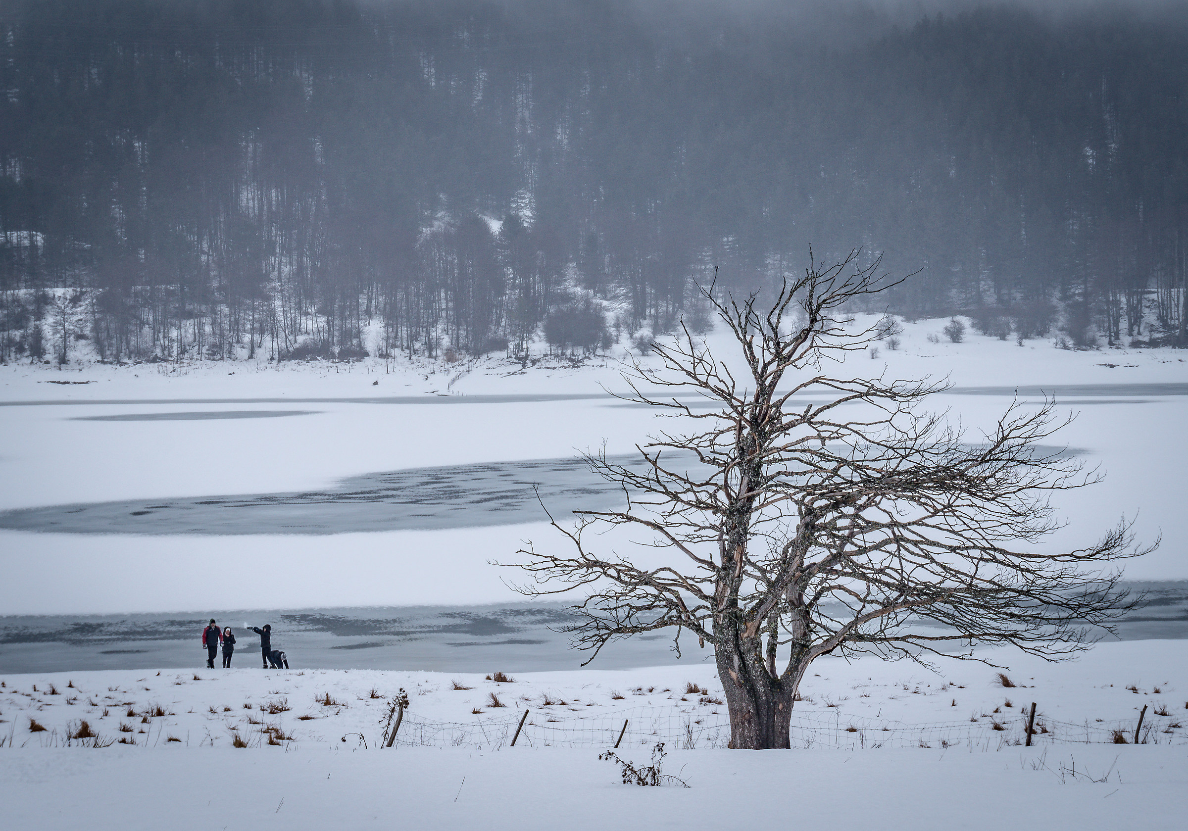 Sila, Lake Ampollino