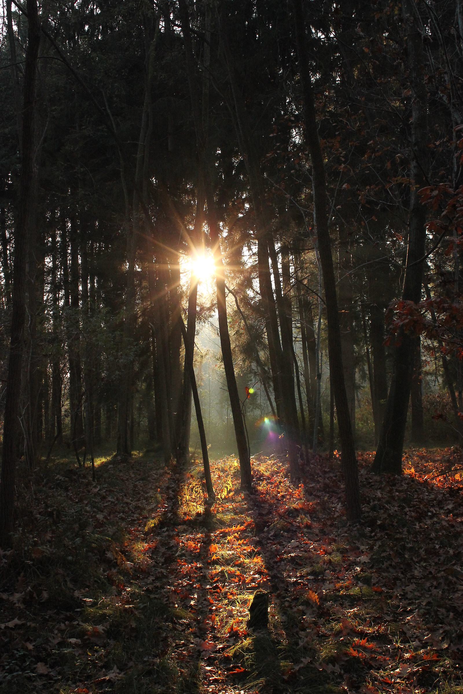 L'ultimo raggio di sole