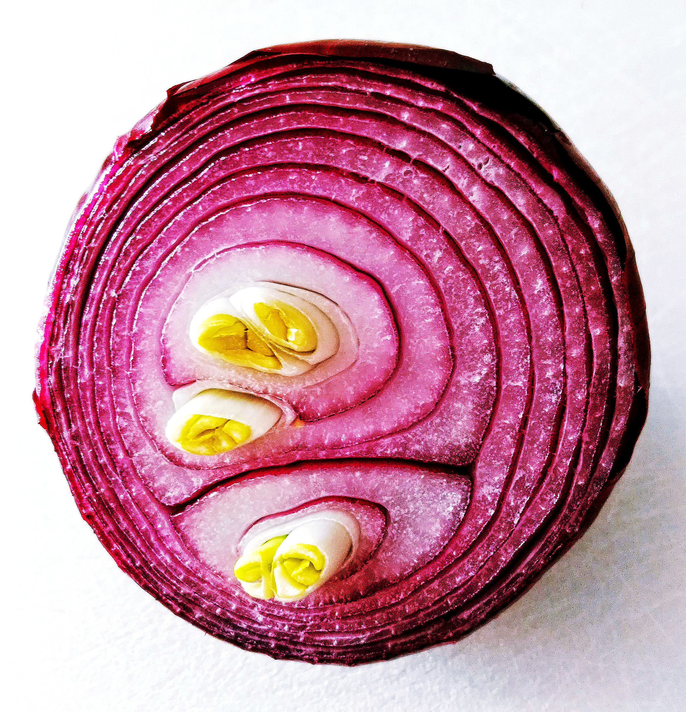 The silence of the onion.....