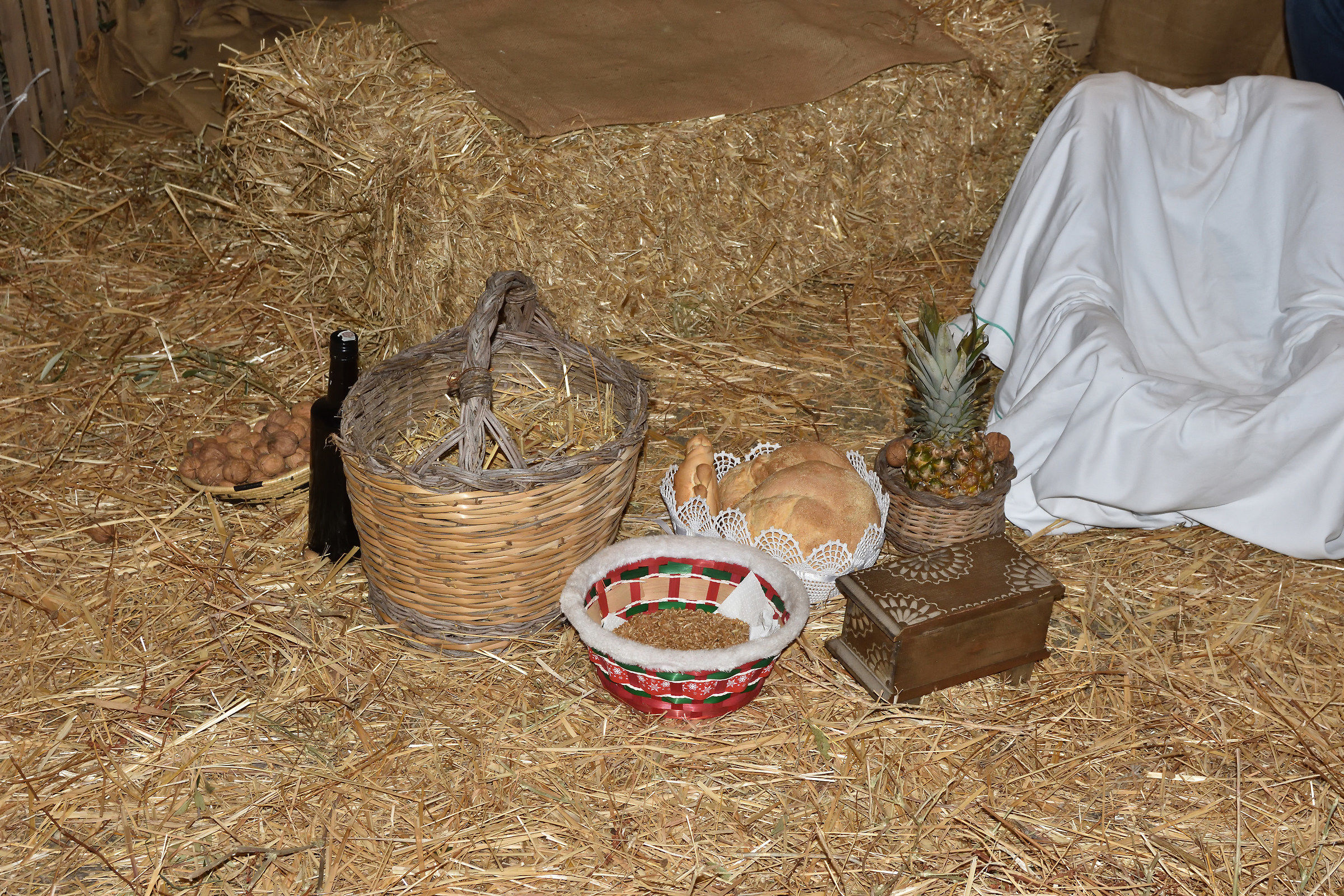 Offertory - Living Nativity - 27/12/2017