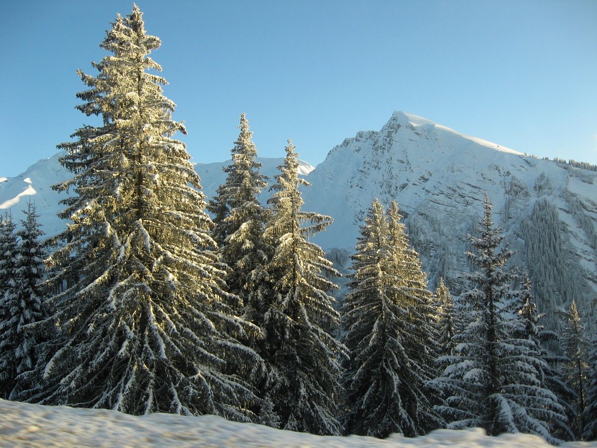 Versante Francese delle Alpi