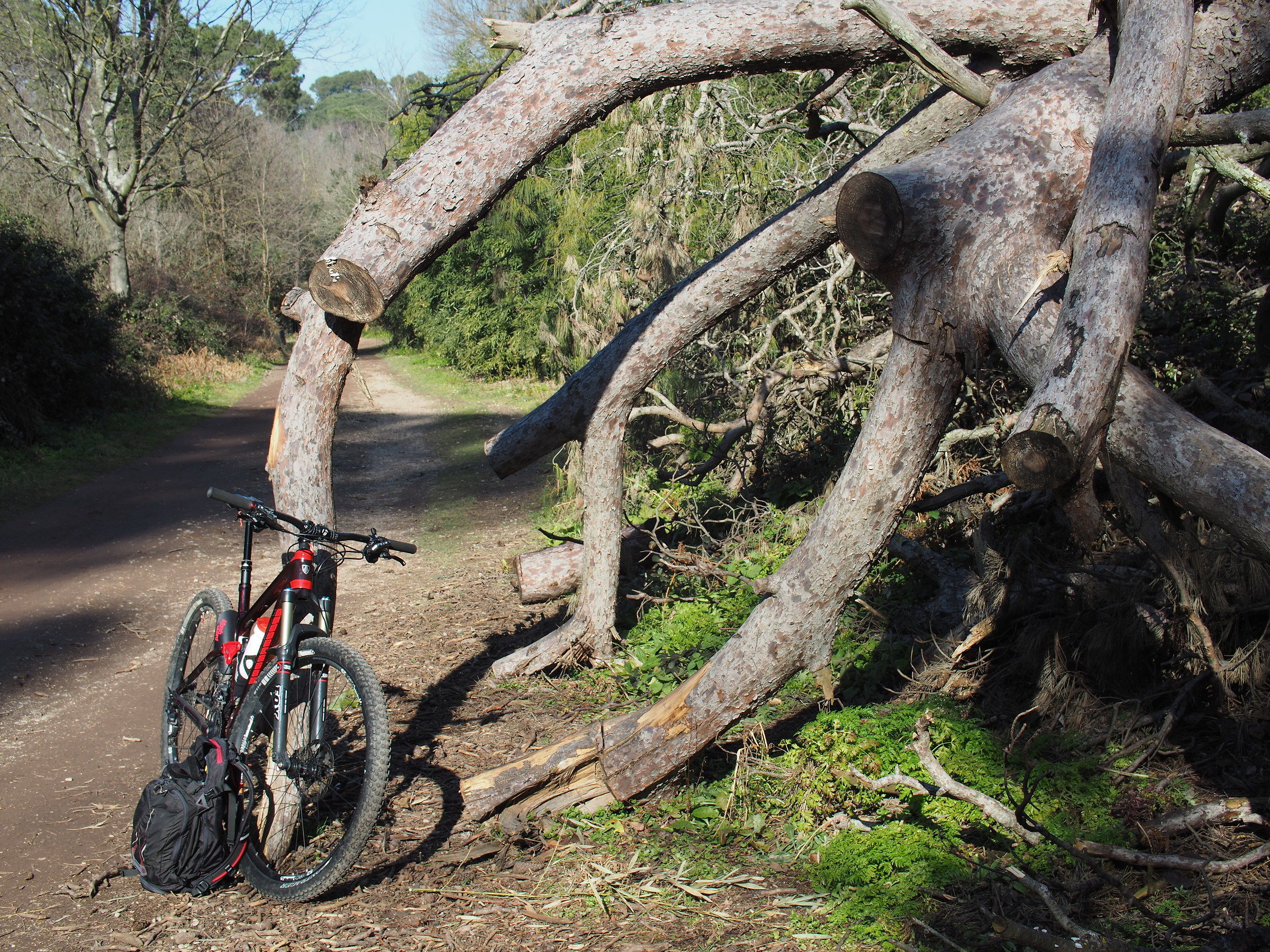 Mitakon Speedmaster 25mm f0.95 test