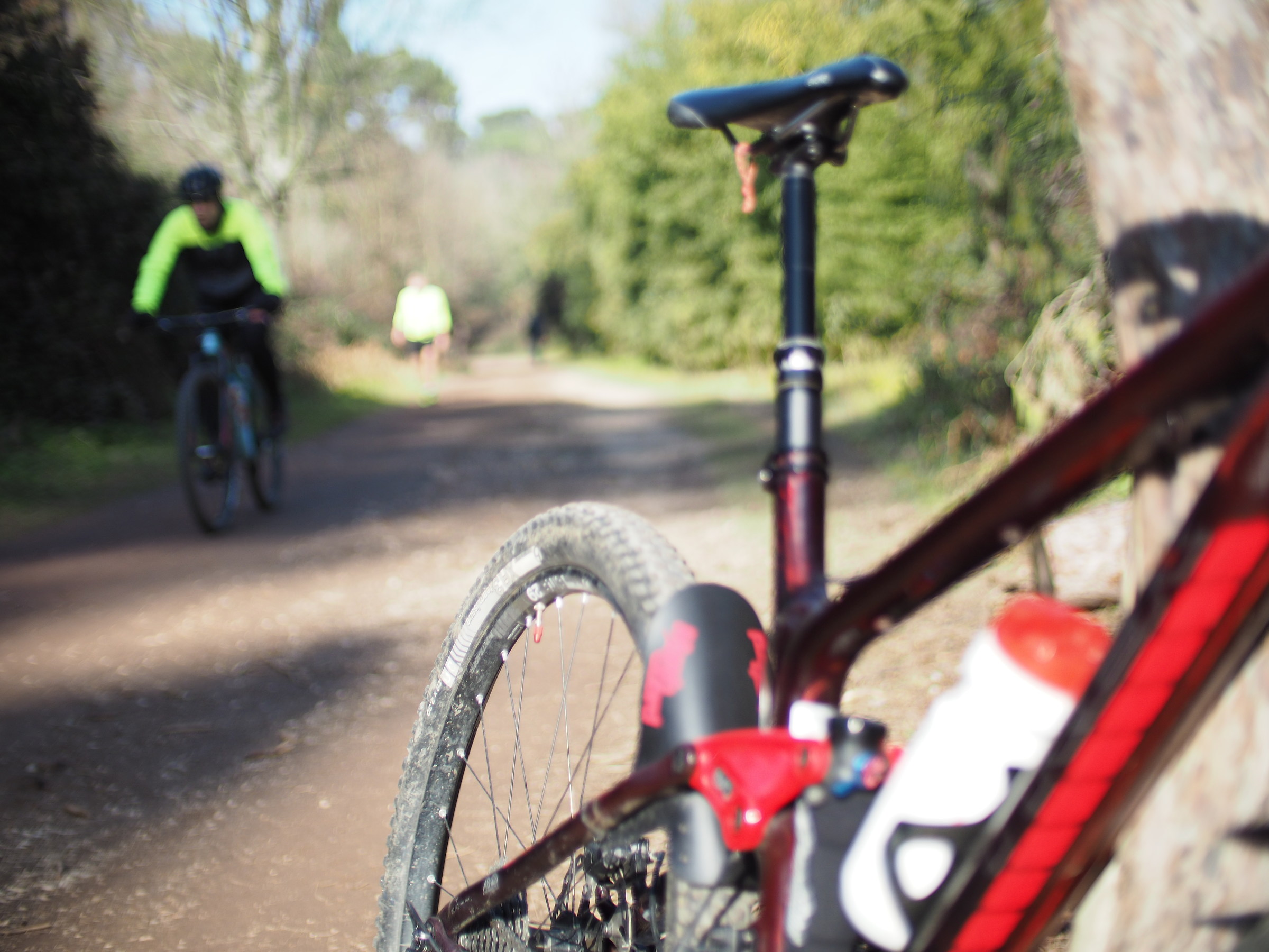 Mitakon Speedmaster 25mm f0.95 test