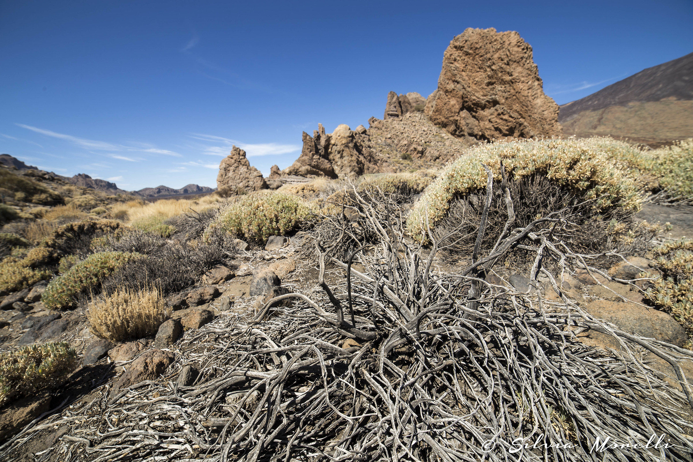 Tenerife - El Teide Park.