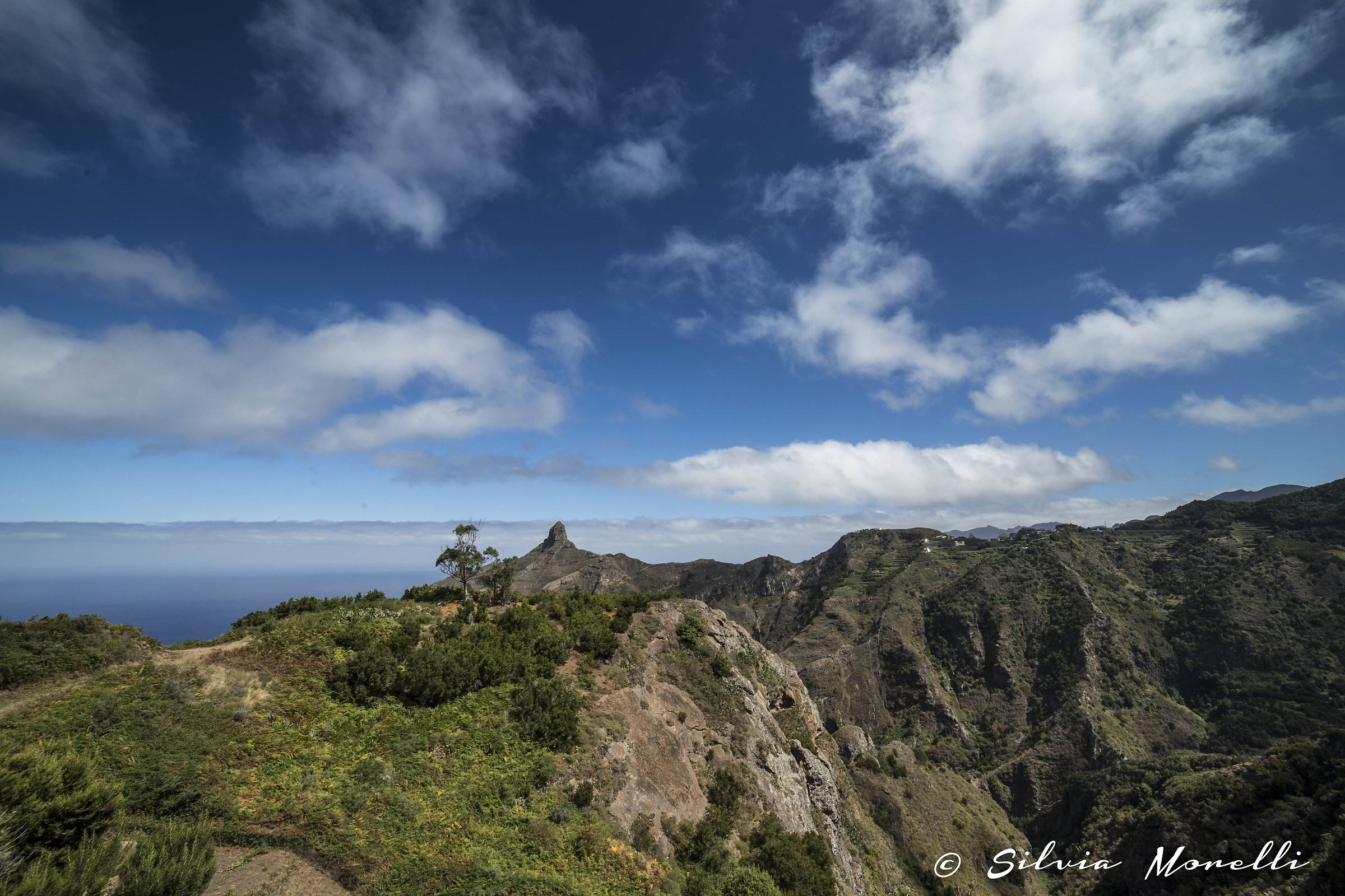 Tenerife - El Teide Park.