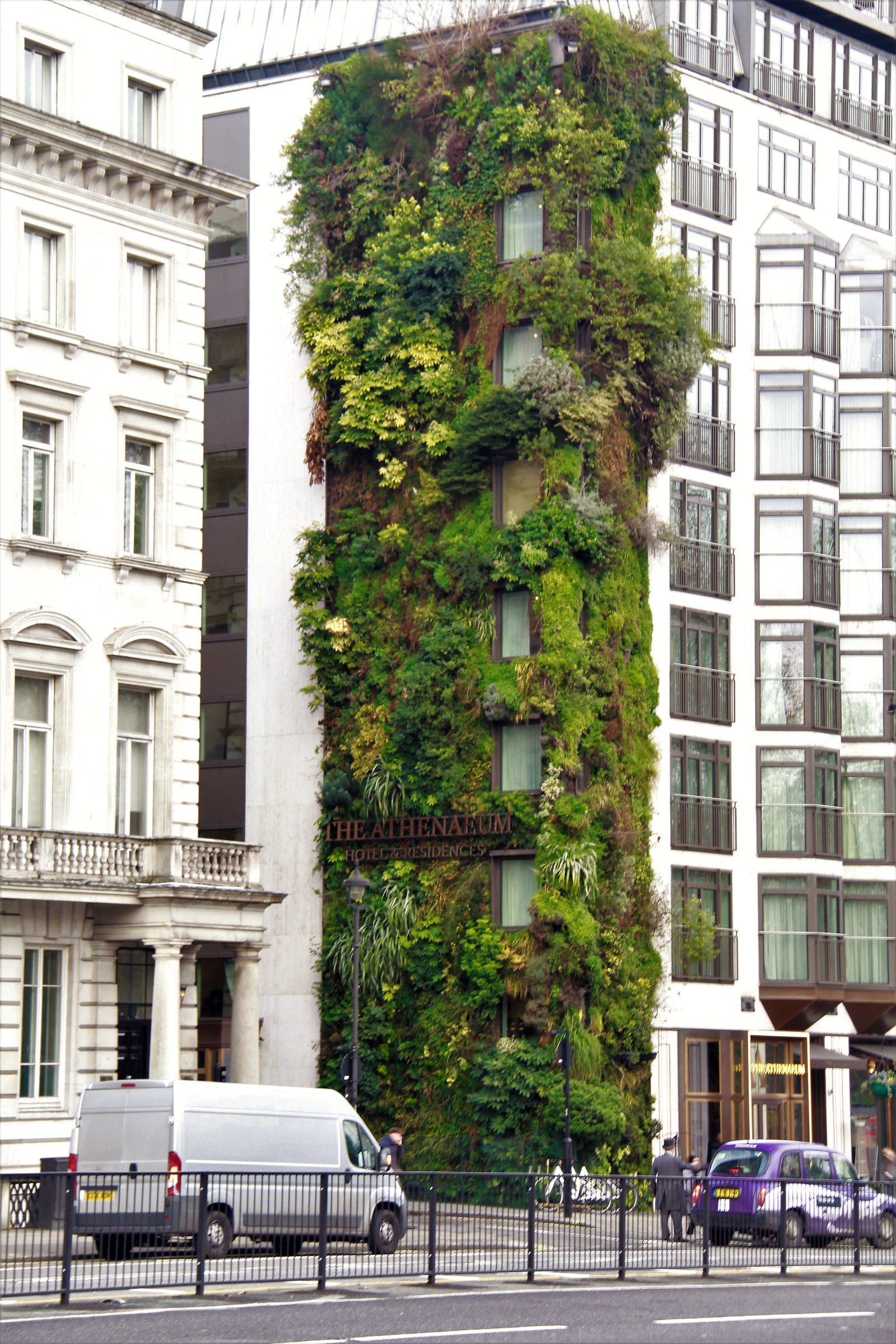 green wall picadilly