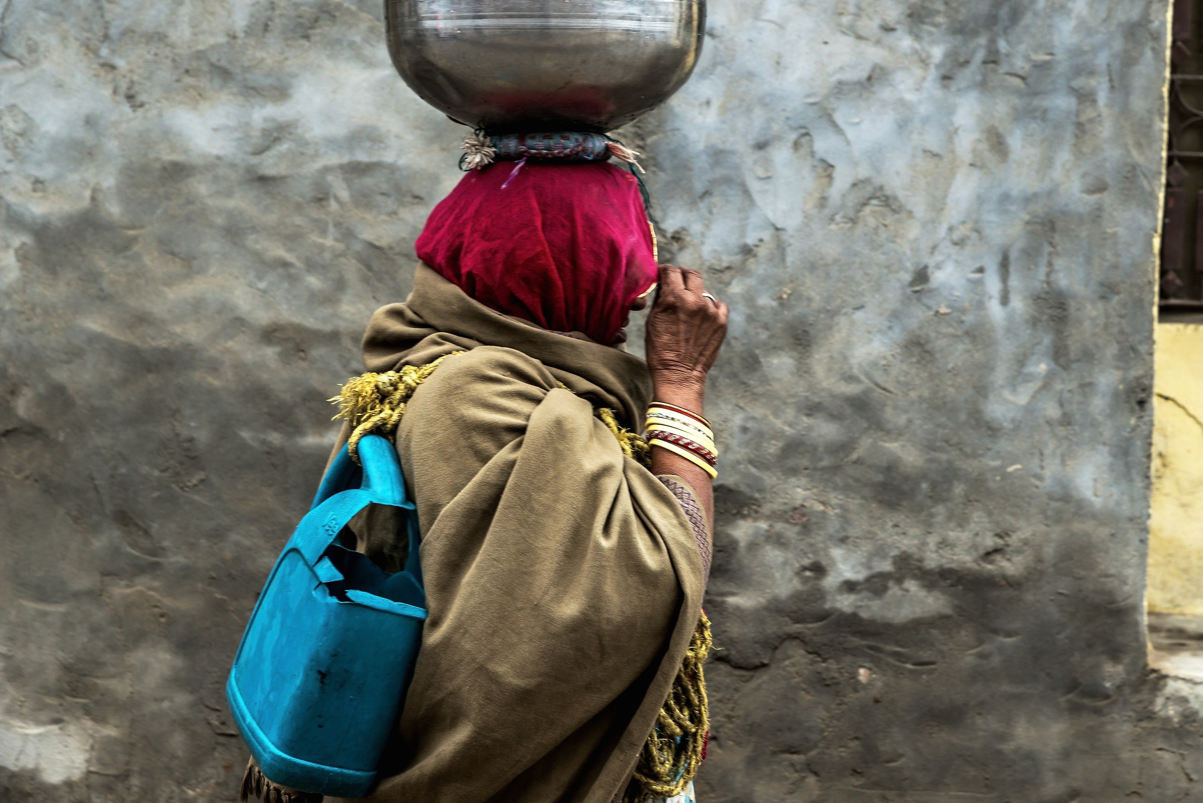 Rajasthan 2017 - Sfuggente