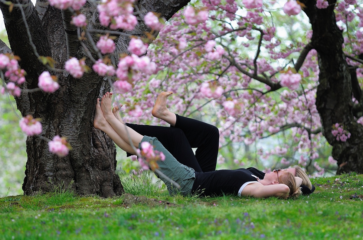 Relax at the Bronx Botanical Garden